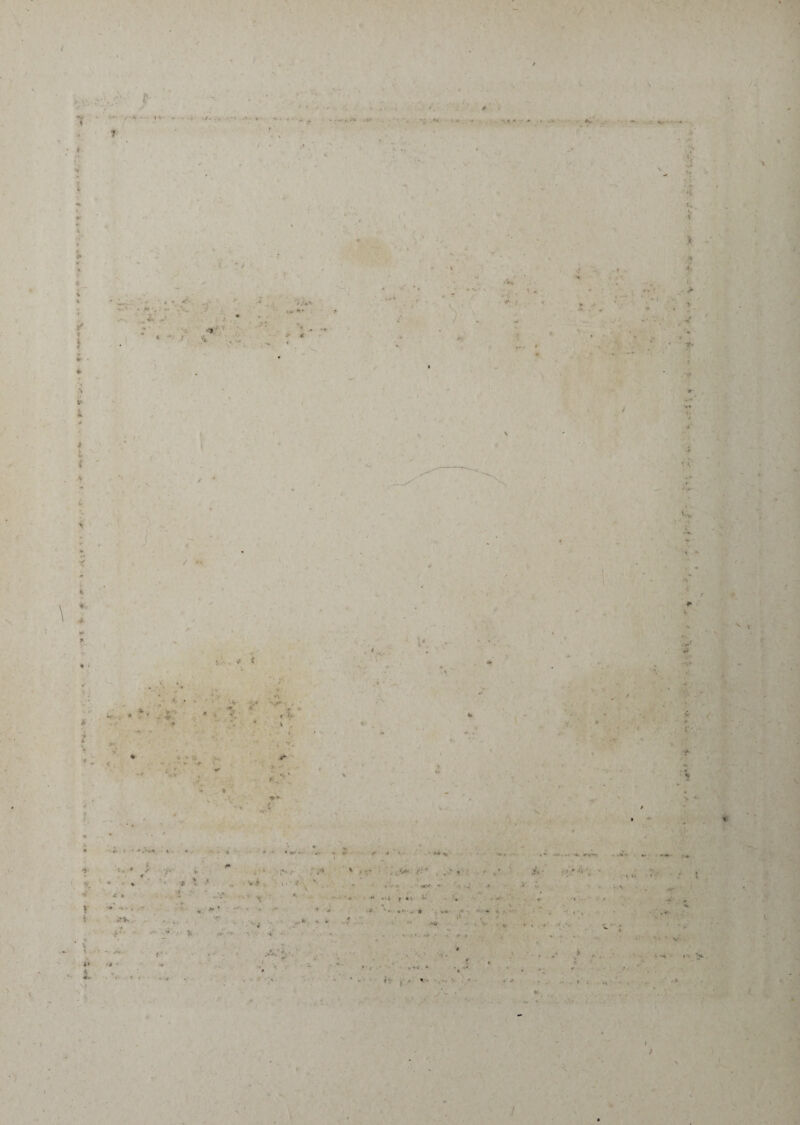 ■ / « A- •> - - < ' ■ •* • «« •. «• ■+ < • i / i ( ■> : •• .'■•s* -■ ' j: •’ • y * \ - I > * V 4 f -f i k' / . . î • » * V î •i * -v~ •4* •n* . -> 4»' ' •' .. V * - - <• ; • *\ *. »» , i- * , • *. : t. i ...... ». • % ■i t. * / v- » * ■ » < ♦ -•v * . ■i \ ' * '''s vi. >.'»• ■v X ; ..>■ ..J .... •■' * î» f ’ »• * / ». y ■» * • *.*■*%, v. .*>' !• *■ .'»•;* »• • • * V -■ „ *  • r «rv # * . ' ■> • * * ****•-• » v «f •* . ‘v r W \ ^ * ÿi . ' ,•» • * '<V ^ • *4 *1 y - • •' J ■ i J