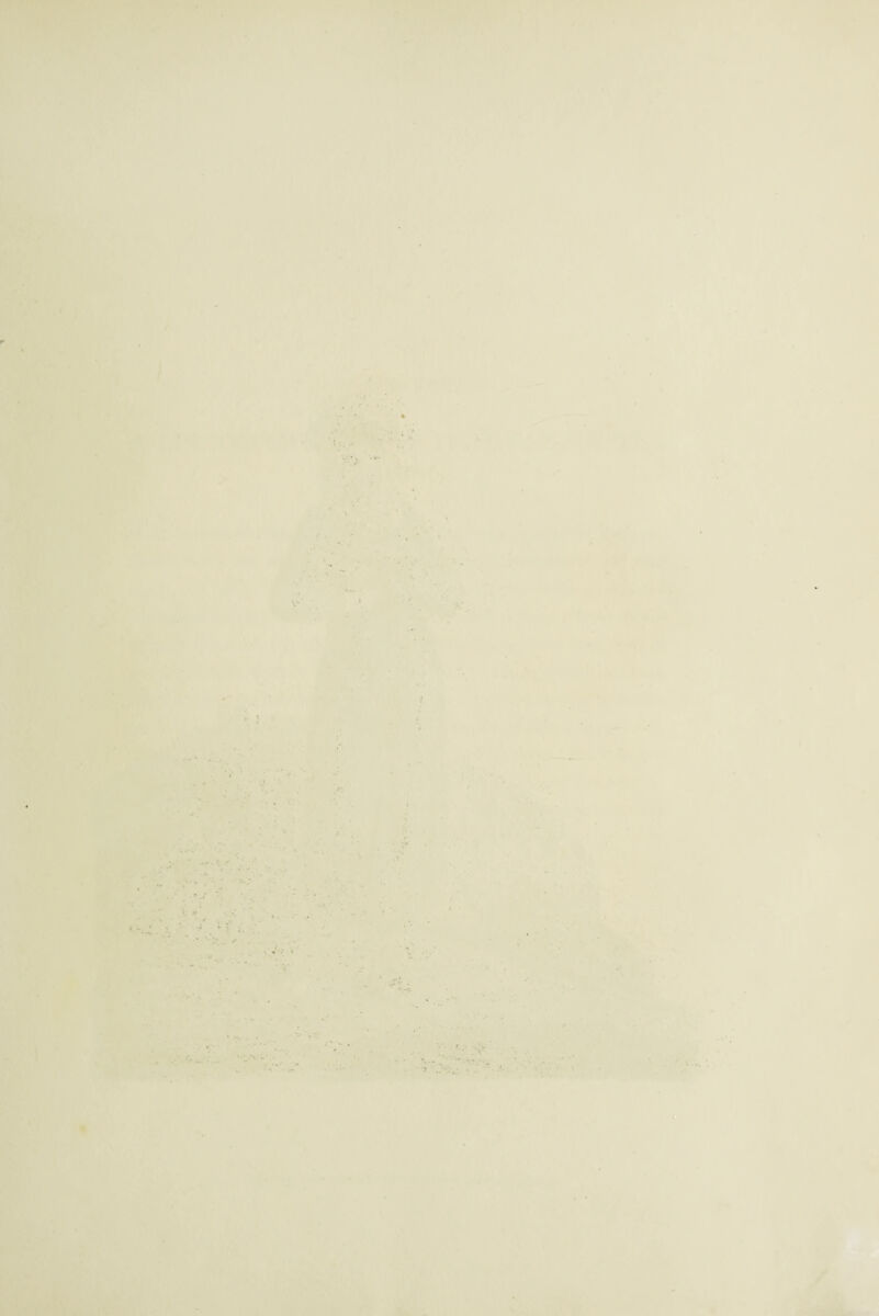 • >• V- : > \ i • - f . v.V- \ - ‘ ^ .n;« • '? . • . '.