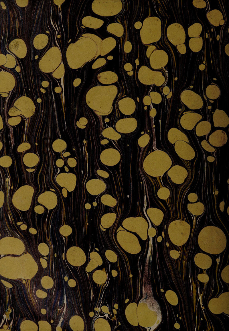 Mg 1 1 ;. c*. Y.-^'~:'? ••■ t. Hg ' -jV1 jffWrV \T [*lU Hr/fA«v I:&gt;-*^ ^M&amp;wSalll 1 si /// ! Vi V “ -\wbrnMmm luilMb ,, ''a'^GhRv / V tLf MM il2&gt; ,11 'WdBiVnSHRMlBnU ■ IAm 1 IIIVl ’^B9\mkBmPkv^ Kl ImM ' HJBa