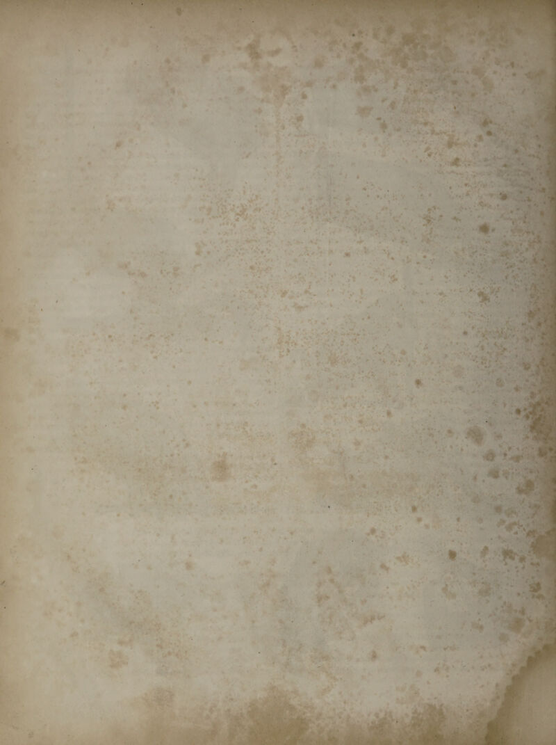 ... < *'« V.. • f ■ . *■ ■ t mm -a 4 ■ .