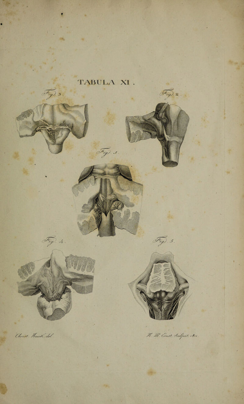 ^ CL ose. o Lo Ad TABULA & AXI. V DA : C es La uu i / | * L vg i ^ 1 !