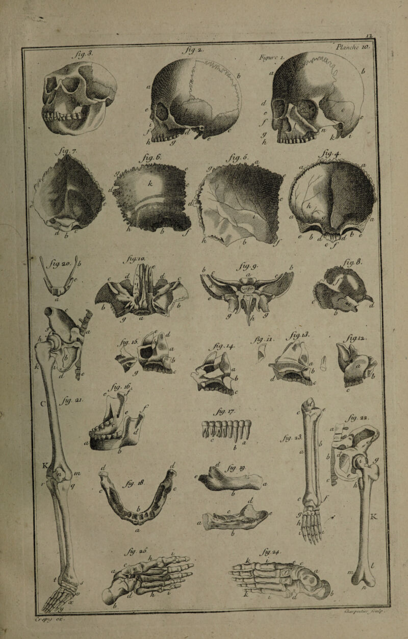 Planche tO ' v c rep\/ ex ■