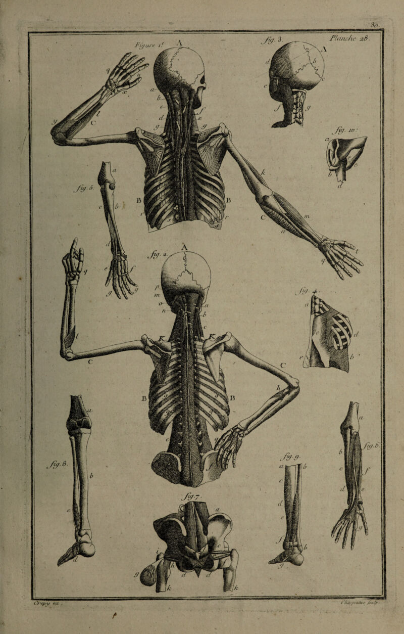 P/unc/ic a8 arc t l 7 'C/i-)/ e.v r BR b ' rwÆFÆ8.Æw