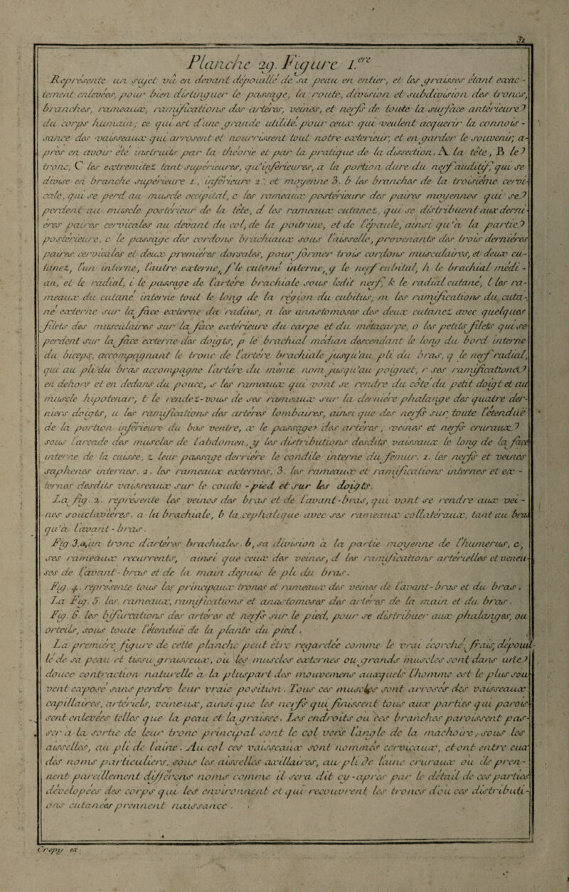 Jl Planche aç. Fia arec i.eri fly/resente un sujet vu e/i devant dépouillé de sa peau en entier, et les yraisses étant exac¬ tement erdevecs, pour bien distmyuer te passaye, ta route, dcvision et subdivisio/i des ù'o/ics, branches, rameaux, /'amificatio/is des a/'tercs, veut es, et nerfs de toute la surface antérieure^ du corps humain; ce qui est dune y ronde utitite. pour ceux qui 'veulent acquérir la connais¬ sance des 'vaisseaux qui arrosent eh nourrissent tout notre extérieur, et en pairier le souvenir, a- pres en avoir etc instruits par la théorie et par la pratique de la dissection. Al la tête, -B le t tronc, C les extrenuteZ tant supérieures, qu in/erieures, a la portion du/T du nerf auditif / qui se danse en branche supérieure inferieure 2'. et moyenne 3. b les b/anches de la troisième ce/ru cale, qui se perd au muscle occipital, c les rameaux postérieurs des paires moyennes qui set pc/rient au muscle postérieur de la tête, d les rameaux cutané Z, qui se distribuent aux demi' ères paires cemucales au devant du col, de la poitrine, et de (épaulé, ainsi qu’a la partiel? postérieure, c le passaye des cordons brachiaux sous (aisselle,provenants des trois dernières paires cervicales et deux p/'enuéi'es do/sa tes, pour former trois cordons musculaires, et deux cu¬ tané L, l’un interne, (autre externe f le cutané interne, q le nerf cubital, h le brac/ual médi - an, et te radial, 1 te passaye de tartere brachiale sous ledit nerf, k le radial cutané, l les ra¬ meaux du cutané interne tout te lo/ig de la région du cubitus, m les ranufications du cuta¬ né' externe sur ia^face externe du radius, n les anastomoses des deux cutaneZ avec quelques filets des /nuseulai/TS sur la face extérieure du carpe et du métacarpe, 0 les petitsfilehr qui se perdent sur Ip face externe des dougùr, p le brachial médian descendant le long du bord interne du biceps, accompagnant le tronc de lartère brachiale jusqu'au pli du bras, q le nerf radial, qui au pli du bras acco/npayne /artère du meme nom gusqu'au poignet, r ses ra nùfica tton CL ? en dehors et en deda/U' du ponce, s les rameaux qui vont se rendre du cote du petit do agi et ail muscle hipotenar, t le rendez-vous de ses rameaux su/' la derntere phala/uge des quatre der¬ niers doijyts, a les ranufications des artères lombaires, ainsi que des nerfs sur toute Ictendûé de la portion inferieure du bas ventre, x le passage> des artères y veines et nerfs cruraux.J sous «arcade des inuscl&r de labdomen, 7/ les distributions desdits vaissaux le long de la face interne de la cuisse, t leur passaye derrière le concilie interne du fémur. 1. les nerfs et veines saphènes internes, a. les rameaux externes. 3 les rameaux et ramifications internes et ex - ternes desdits vaisseaux sur le coude -pied eh sur les doigts. Lcifuj.'X, représente les veines des bras et de lavant-b ras, qui vont se rendre aux vei¬ nes souclavieres. a la brachiale, b la.cep Italique avec ses rameaux collatéraux, tant au bna* qu’ci lavant - bras. Fig.3.a,un tronc darteres brachiales b, sa division à la partie moyenne de l/uimeras, c, ses ra/neaax récurrents, ainsi que ceux des veines, d les ramifications artérielles et veneu- ses de (avant-bras et de la main depuis le pli du bras. j Fug. g. représente tous tes principaux troncs et rameaux des veui&r de l'avant-bras et du bras . La Fug. 5■ les' rameaux, ramifications et a/uu'tomoses dur artères de la main et du bras ■ Fug. S. les Infiuvations des artères et nerfs Air le pied, pour se distribuer aux phalancges, ou orteils, soiur toute létendue de la plante du pied. La première^ figure de cette planche peut être reyardcc comme le vrai écorché, frais, dépotai le de sa peau et tissayrcusseux, ou les muscles externes ou grands muscles sent dans u/ieJ douce contraction naturelle a la plaspart des mouvemens auxquels Lho/nme est le plus sou¬ vent exposé sans perdre leur vraie position. Tous ces muscfps sont an oses des vaisseaux capillaires, artériels, veineux, ainsi que Us nerfs qui finissent tous aux parties qui parois sent enlevées telles que ta peau et la^ graisse. Les endroits ou tes branches parcissent pas¬ ser a tx sortie de leur tronc p/incipal sont U col vc/'s /angle de la macho ire,-sous les aisselles, au pli de lame. siu col ces musscaux sont nommés cèr'xnçaiuv, étant entre cua des noms particuliers, sous Us aisselles axillau'cs, au pli de Lune cruraux ou ilspren - /lent pa/'tillemaitciif'ferons noms comme il set a dit cy -ap/es par U détail de ces parties dévâlopces des corps q lu Us environnait et qui recouvrent Us fronce' don ces distribuü o ns cutanées prennent naissance. * , t repi/ es