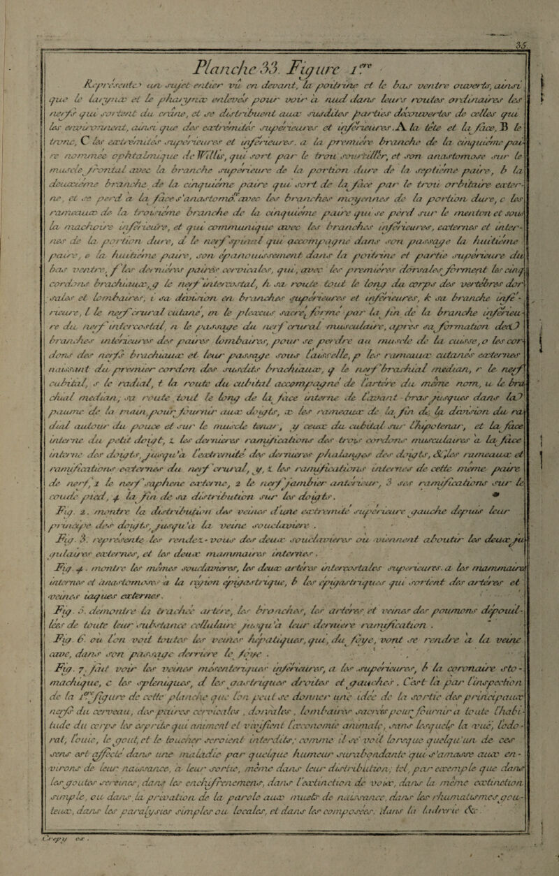 Planche 33. Fit 1 ere ' igure Représente.1» usv stueC entier vu en devant, la poitrine ext le bas ventre ouverts, an tel que le la/ynac et le pha/p/iac enlevés pou/' vou' ci rutd clans leurs routes ordinaires les nerfs qui sortent du crâne, et se d/st/'ibuent cutcc susdites parties decozcveries de celles pu les enviremneut, ainsi que des cart/énutés supérieures et inferieures .JSk. la tete et la face, le tronc, C le r eactré/nites supérieures et inferieures. a la prenne te branche de la cinquième pai¬ re nommée ophtalmique de Willis, qui sort par le trou sourtiuer, et son anastomose sur le rna/cle f rontal avec la branche supérieure de la portion dure de la septième paire, b la deuœieme b/'anche de la cinquième paire que sortde la face par le trou orbitaire ea'ter¬ ne . et se perd a la face s'anasiomo^avec les branches moyennes de la portion du/e, c les rameauco de la troisième branche de ta cinquième paire qui se perd sur le menton et souA la machou'e uiferieiire, et qui communique avec les branches inferieures, cœtemes et inter¬ nes de la portion dure, d le nerf spinal fui accofnpaqnc dans son passeye la huitième paire, e la huitième paire, son épanouissement dans la poitrine et partie supérieure du bas ventre, g 1er det mères paires cervicales, qui, avec les premières dorsalespb/'mefit tes cinq corch/is braehiaaæ, q le ne/f uite/ costal, h sa route tout le lozp du corps des vertèbres dur saies et lombaires, i sa dcvtsion en b/ a/iebes supérieures et inférieures, h sa branche uife- meiu'e, lie nerf crural cutané, m le pleœeus sacre'L forme par ta fin de la branche uifefieu -j re du tierjpintercostal\ n le passa/e du ne/f crural rnusciifaure, apr/'es sa formation deect brandies intérieures des patres lombaires, pour se perdre au muscle de la cuisse, o les cor¬ dons des nerfs braehiauac et leur passaqe sous latsselle, p les ramcaunc cutanés cœtemes naissant du premier cordon des susdits btac/uauœ, q le nerf brachial médian, r le neff cubital, s le radial, t la route du cubital aeeompapnè de /artère du mène nom, u le ira dual meilian, sa route fout te tony de la fiiee uite/ne de IdVanf braspispues dans lad paume de la ruu/i,pour fournir auœ doipts, œ tes rameauœ de ta fin de. la division du raÀ dial autour du pouce et sur le muscle te/tar, y ceuœ du cubital su/' Ihipoténor, et la^ face interne du petit dou/t, t les demieres ramifications des trois cordons musculaires cl la face interne des dopts, jusqu'à leactr eau té des de/nie/es plmla/uqcs des doipts, Styles ra/neaucc et ramifications en te/nés du nerf cru/ ad, y, X. les ra/ruficatio/is uite/nes de cette meme paire de zierff 1 le. ne/f saphène eœte/ne, 2 le ne/f /ambter antérieur, 3 ses ra rruflccitwns sur le coude pted, q ta fin de sa distribution sur les doipts. * Fi y. 2. zn mire la cÙstribufùur des veuus dune eœt/emite supérieure yauche depuis leur principe des doipùr jusqu 'à Li veine souciavie/v . , Ftp. 3. représente des re/uted* vous dur deuœ soiudavieres ou ■ viennent aboutir tes deuœpu yulaires eatemes, et tes deu. r mammaires internes , Fp. q . montre les rrunus souctavieres, les deuic artèrer intercostales supérieures. cl les nia/ruruure* internes et anastomose a la /pian éqnyast/'ique, b les épûqasti'iques pu sortent des artères et vcures toques or ternes. Fp .5. démontre la trachée a/ te/e, les bronche**, les artères, et veines de* poumons dépouil¬ lées de toute leur substance cellulaire pu qu’à leur demiere ratrufîcation . Fp. 6\ ou Ion voit finîtes la/ oeirles hépatiqiies,qiu,dufcrye, vont se rend/e a la veine cave, dans son passqpe de/nere te fqye . ■ , Fty. 7. fait voir tes veines mésentériques inferieures, a tes .supérieures, b la coronaire sto¬ machique, c les spléniques, d les pas triques droites et pauc/ies . C’est ta par /inspection de (a Féfujure de cette planche que Ion peut se donner une idée de la sortie despriéeipauec nerfs du cerveau, des paires cervicales . dorsales . lombaires sacrés peuq fournir a toute [habi¬ tude du ccrps les esprits qui animent et v ni fient hvcono/nie animale, sans lesquel* la vue, Code¬ rai, louic, le pont, et le toucher seraient interdits; comme d se voit lorsque quelq lilui de ces sens est affecté dans une maladie par quelque humeur surabondante qui s'amasse aiuv en¬ virons de leu/' naissance-, d leur sertie, meme dans leur distribution; tel, par eccemple que dans lespontes sereines, dans les enchifrenemens, dans Veœtmetwn de voice, dans la meme ccctincüon simple, o il dans .la privation de la parole auoc muets de naissance, dans les /iuimalismcspcic- teiuc, dans les paralysies simples ou- locales, et dans tes composées: dans lit ladrerie fcc. (.r-tyn/ e*r