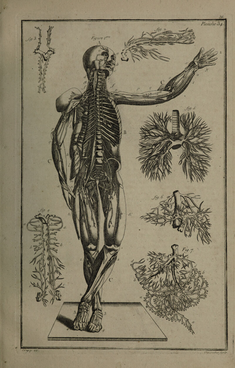 MOHMrsMaai Planche « )-/.