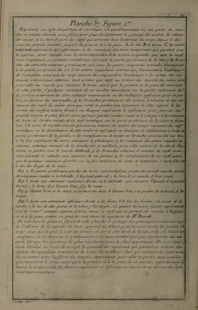 if} Planche \)y. Figwe i?'v Représente urv siyeù diuureiologic et nevrolyie-, vie postérieurement ou cuis parte dco mus¬ cles se trouve détrucite,pourjeure, vou' plus distincte/ncnt le passade des artères, le retour des veines, et la. distribution des nerfs que arrosent tout lecderieur du corps, depuis le des - sous desyrcuïds muscles\ jusqu'à, layrousse ci a la peau ■ -A. la tête, JS le, tronc, C les eaelre mitéé tnntsupeneures g u ' inferieures. a les rameauec dartères temporales qui passent sous le tujfoma, pour ramper sous le sternomastoïdien b les artères occipitales, que, izvec les nerfs sous occipdaïuv, ou premiers vertébraux arrosent la partie postérieure de la tète, c lei' bran¬ che,- des ceroicalej' eater/ies postérieures, qui, avec 1er paires moi/en nés cervicales Journtssent a la partie postérieure du col, d les artères scapulaires' internes quq fournissent a lextérieur^ de lomoplate, ainsi que les nerfs cutanés des cinq cordons brachùuuc, e les sorties des ra - meauae uliercostance externes, tant artères que nerfs au travers des muscler du meme nom pour' aller eue muscle qui recouvre le tronc , ainsi que la graisse et la peau des environs de cette partie, f quelques rameauec de ces susdits vaisseaux sur la partie eecteneure ded La- portion a, itei'ieime des cotes, nonuries mcmi/ruures, ou tfiorac/uqués inferieurs pour se per - dre au dessous de'' mammelles, q les branches postérieures des arteres lombaires, et des ra - meauae des nerfs du meme nom- qui vont se- perdre aux ieyumens de cette reqion,, h les sorties der nerfs et arteres fessiets, ou iliaques supé'ieur&r et inferieures pour fournir ouid grand moyen et petit fessier, ainsi qu'aux quartier voisines comme on b voit par i. h les rameaux du tronc 'de i artère crurale et du nerfis antique sur la partie postérieure de la cuisse et facia,- lata, l le- treize de lartère crurale. passant au travers du tendon des triceps recouvert du nerf iseiatique, m la distribution, de cette artère et nerfapres ses divisions et subdivisions a toute la j partie postérieure de hjambe, a les ramifications de toutes ses branches principales sur tou¬ te face supérieure, du tarse, métatarse•- et phalanges, o les rameauec des artères scapulaires internes, carier nés, venant? de la souclavière cl aanllairc, pour aller autour de la tels de lhu¬ meras se perdre sous le muscle dclthotdc, p> les branches externes et interner les nerfs nom ¬ mées cubitales et radiales aux euvuons de ses parites, q les ramifications de ces nerfs ainsi que de quelques rameaux dartérés sur la face extérieure du carpe et métacarpe, r leurs fins sut' le des des doigts de bi main , . Fy. 2. la poulie postérieure gauche du tronc recouverte dune partie desgrands muscles arrosé deJvau^seaucc susdits, a le deltoïde , b le grand pectoral, c la base de ce muscle, d bras coupé. Fuq. 3. toute une extrémité supérieure droite. ce h deltoïde qui recouvre- lépaule, b lejqranci dorsal, c le bras, d, e lavant bras, fiy la main . Fyq. lavant bras et la main . a proriwn du bras, b livrant bras, c la paulme de la main, d 1er | doigts. ; Fig. b. toute une- extrémité inférieure droite , a 1er fesses, b le bas des fessiers, c la cuisse, d la/ ïambe, e le bas de cette qiartie ci le talon, fier doigts. Ces quatre dernières fia ares représentent tous les vaissf cutanés, sçcrvoir, arteres, veines, et nerfs qui se portent des muscles a h g nus se et a la peau, comme on peut les voir dans la»' éjections de 3F. Fuis ch. On voit dans la pràniére figure de cette planche le passagedes principaux vaisseaux qui de lintérieur de la capacité du tronc passent au dehors peur arroser toutes les parties Ou corps, ainsi gu en peut le voir au derrière cl sur le coté droit de la tetc et du col. dehors les omoplates, ou les devisions et subdivisions sont sans nombre quoique représentées mt na¬ turel, tels que les infections les pins régulières nous les font apperçevoir ,'Ûn voit dans ■ toute le tendue du tronc de ce sujet la quantité des vaisseaux qui passent au travers des . espaces des agyopluses transverses de toutes les ver (cl res. Ceux qui naissent des intereco'ta les, et sortent entre les fibres des muscles intercostaux pour aller'se perdre aux muscles gui recouvrent le tronc, ainsi qu’a IcigrcuSse et a la peau de- ces parties ; enfin derrière te bassin lu vrcnfe sortie des fessiers supérieurs et inferieurs au dessus et au dessous du liga- ment sacro - urciati q ue. ==3 t r~epir car