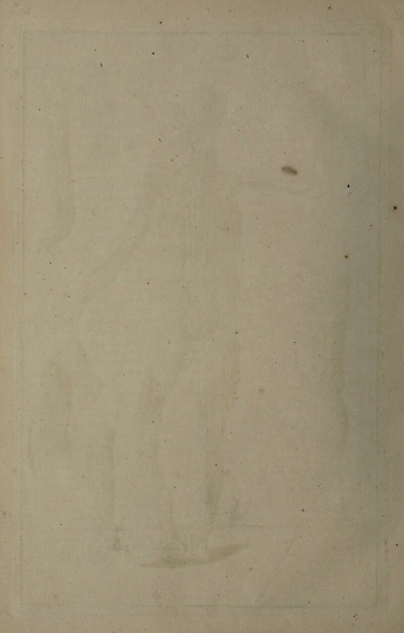 f. £ ' ♦ V \ ' * . / 7' ’l* ; \ . • ' *. ■- : . \ •> /