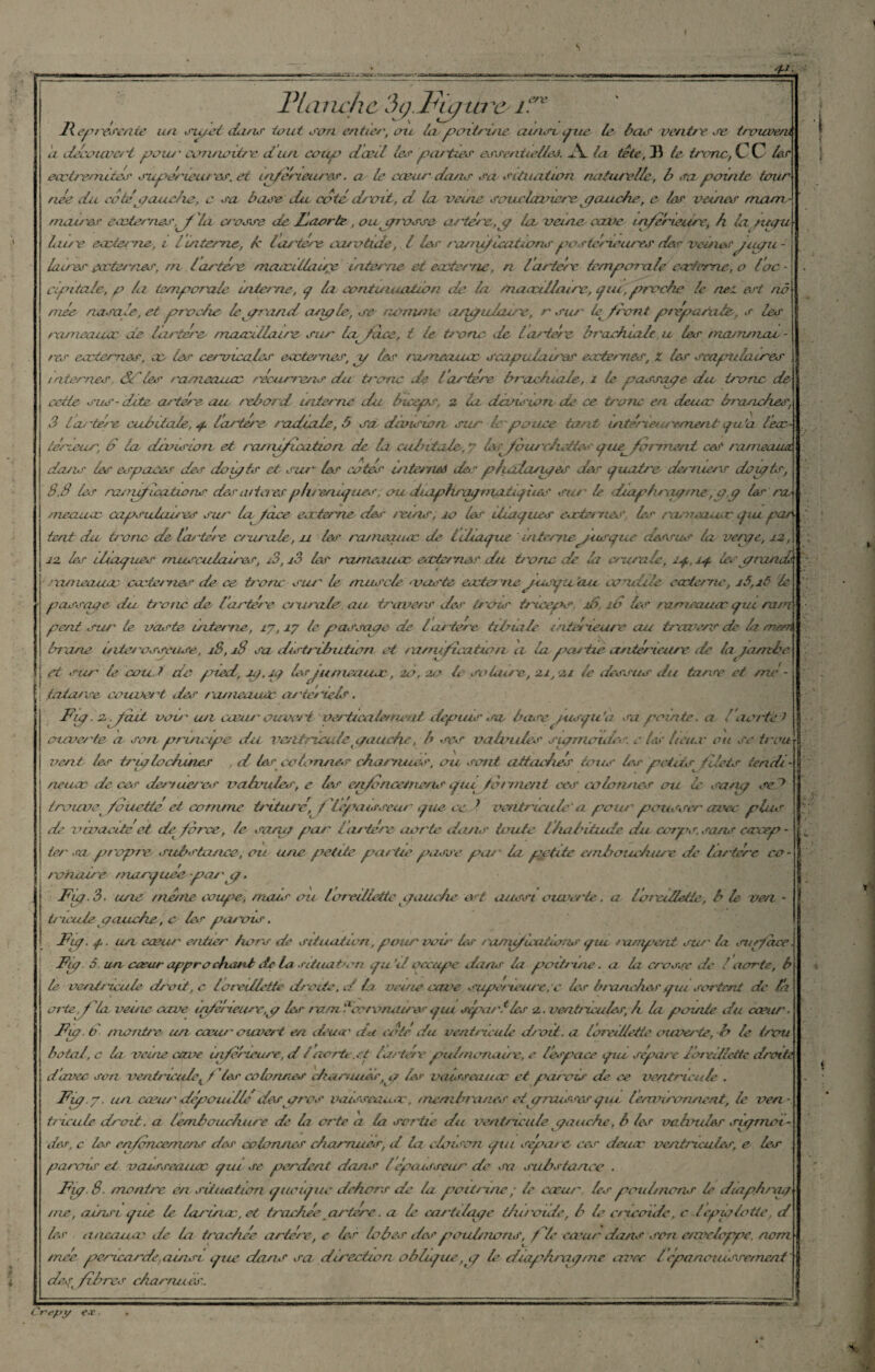 'frf- Vlaize h c Jç.lFnj ui'ei?rc Représente un su/et dans tout son entier, on la,poitrine, ainsi pie le las ventre se iroiwem a découvert pour ■ connoitre et un coup dœil les parties essentielles. JSc la tête, JS le tronc, C C les ecctrernites supérieures, et inférieures. a le cœur dans sa situation naturelle, b sa pointe tour née du cote'pauche, c sa base du coté droit, d la veine souolavierepanche, c- les veines mam¬ maires ecoter ms la crosse de 13aorte, ou^ grosse artère, q la, veine cave inférieure, h la. npu hue eccterne, i linterne, k tar ière carotide, l 1er rarruflcationspostérieures des 'veinesjipu - laires qccternes, ni lartère maccilhirp interne et eccterne, n tarière temporale cœfeme, o loc- cipitale, p h temporale, interne, q la continuation de la rnaaxilarrc, pu, proche le ne! est nô niée nasale, et proche lepraizd arple, se nomme arpaJaire, r sur te front préparait,, s les rameaucc de lartere, maœiflaire sur ùpfàce, i le tronc Je tarière brachiale u les rnammav - res ecctemes, ce les cervicales ecctemes, p les rameaucc scapuicures ecctemes; Z les scapu la mes internes. les rameaucc récurrens du tronc de tarière brachiale, r te passape du tronc de code sus- dote artère au rebord interne clu biceps. 2 la dcmsion de ce tronc en deucc branches, 3 lar'tère cubitale, q tarière radiale, â sa, division sur k pouce tarif intérieurement qu’a lea> téneur, b la division et / arrupicutzon de la cubitale-, 7 ùp/oureheties que^ forment ceS rarneaua. darm les espaces des do pis et. sur les cotés internes de,' p/uilaipes des quatre derniers do pis, 8,8 les rarruficatwtis des a itérésphréniques ou dtaphcaq maiiqïies sur le déaphrar/rne, a p les ru meaucc capsulaires sur' la face eccterne, des reins, ro les iliaques eedemes, les rameaucc qiu par tent du tronc de lartere crurale, 11 les rameaucc de Ithaque internepresque dessus la verqe, 12, 12 les iliaques musculaires, i3,i3 les rameaucc ecctemes du tronc de la crurale, iq, iq les pranxh rameaucc ecctemes de ce tronc sur le muscle vaste eccterne jusqu'eux concilie eccterne, i5, iô le passape da tronc de l’artère cr urale au travers des trois triceps. 16 ié> les rameaucc que mrn perd sur' le vaste interne, 17,17 le passape de l artère tibia le intérieure au travers de lamem Inane u iter osseuse\ 18, r8 sa distribution et / n/rufica tion a la q mette antérieure de la jambe et sur le coud do pied, p,ip lesjumeaaœ, 20, 20 le soiame, 21, 21 le dessus du tarse et mé¬ tatarse couvert des rarneautc artériels. bp. 2 .peut vom un ceam ouvert verticalement depuis sa base jusqu'à sa pointe, a l'aorteJ ouverte a son pruuipe dit ventriculepauche, b ses valvules spmendes. e les heur ou se tr ou ! vent les trploclunes , d les colonnes charnues, ou sont attachés tous les petits■ filets tendi¬ neuse décor dertuercs valvules, e les en/oncetnens qui forment ces colonnes ou le sarp se7 trouve /ouettéet comme tritu/é, f 'lèpatssear que ce, l ventricule'a pour pousser avec plus de vivacité'et de force, le sanp par- 1 artère aorte dans toute Ihabitude du corps, sans ccrcep - ter sa propre, substance, ou une petite partie passe par' la petite embouchure de lartére co- • t roruure mas'yuee •fias' cf, bp. 3. une mène coupe, rnaur ou loreillette a auche art aussi ouverte. a l 'oreillette, b le ven - triade pauche, c les parvis. Fp. q. un cœur- entier hors de situation,pour vom les rairu/ieatioris qui rarpent sur la surface, bp. â. un cœur appro chant de la situation qu ’d occupe dans la poitrine. a la crosse de / aorte, b le ventricule droit, c loreillette droite, d la veine cave supérieure, c les brancher qui sortent de la orteil'la veine cave inférieure,p les ram 810 ronarres qui séprarlles 2. ventricules, h la pointe du cœur. bp. b montre, un cœur ouvert en doua' du coté du ventricule droit, a ioreillette ouverte, b le trou botal, c la veine cave ui/erieure, d /aorte.et lartére pulmonaire, e l'espace pu sépare l'oreillette droite d'avec son ventriculeK / les colonnes charnues,p les vaisseauæ et parois de ce ventricule . bp. 7. un cœur ' dépouillé despros vaisseau.ee, membranes et ipnussesqiu Ienvironnent, le ven tncule droit, a lembouchure de la orte a la sortie du ventricule pauche, b les va bouler ,rpmot- de.r, c les en/oncemens des colonnes charnues, d la cloison qui sépar e ces deucc ventricules, e les parois et vaisseauec qui se perdent dans lépaisseur de sa substance . bp. 8. montre en situation quoique dehors de la poitrine ; le cœur, les poidrnons le diap.hrap me, ainsi que le larinœ,et trachée artère. a le cartilape thu'oéde, b le cricoide, c lepplotie, d les d/icaaœ de la trachée artère, e les lobes des poulinons, f ie cœur dans son enveloppe, nom mec péricarde,ainsi que dans sa direction oblique , q le draphrapme avec l épanouissement des fibres charnues.. Crepy ex.