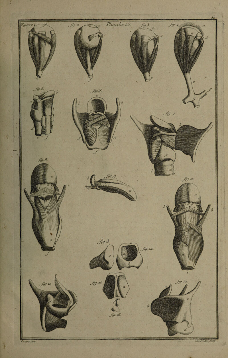 * c t • ey y • de . Planche 66- J& &■ \ J& 7 JÏ9 20 Jgà- t