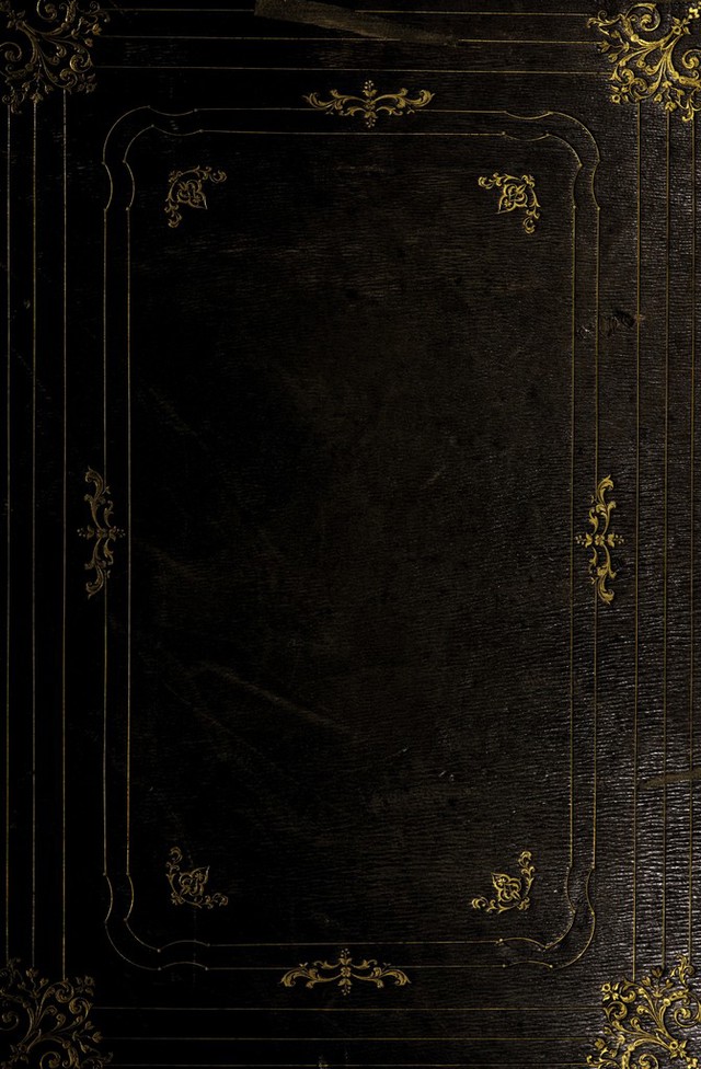 No text description is available for this image