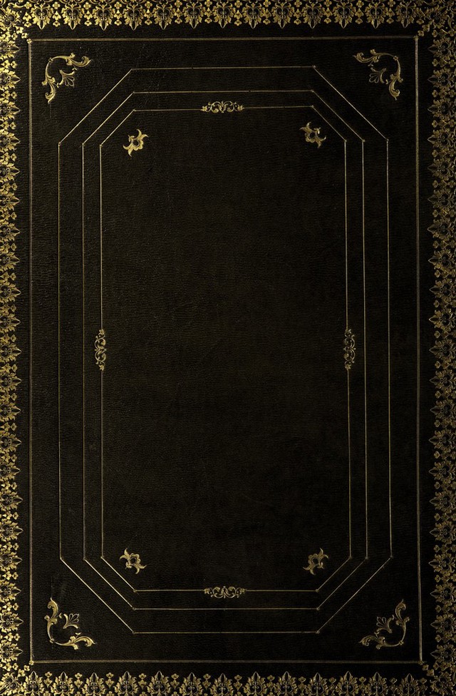 No text description is available for this image