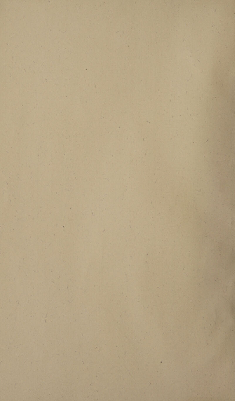 ■) /'  \ *î I ■ \ / /•' ) / ■ \ \ N ( ' 4 -, • ; / ■ / - / < ) ■ / ! I \ \ \ ' / ■* * ; - * , / ^  / - > \ >