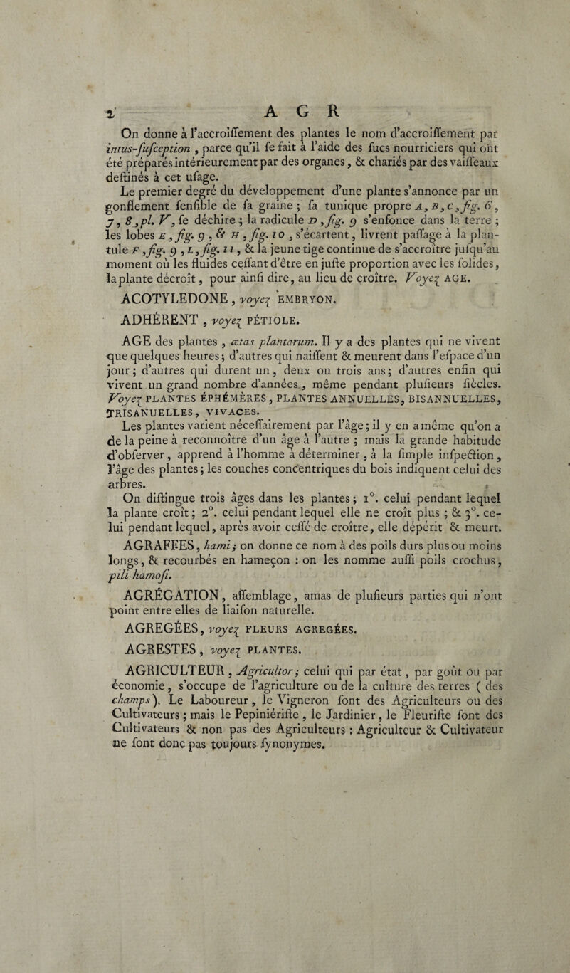 On donne à l’accroiffement des plantes le nom d’accroiflement par intus-fufception , parce qu’il fe fait à l’aide des fucs nourriciers qui ont été préparés intérieurement par des organes, & chariés par des vaiffeaux deftinés à cet ufage. Le premier degré du développement d’une plante s’annonce par un gonflement fenflble de fa graine; fa tunique propre A, b , c,fig. 6*, 7, 8 ,pl. F’yfe déchire; la radicule d ,fig. g s’enfonce dans la terre ; les lobes e 9fig* g , & h ,Jîg* io , s’écartent, livrent paflagc à la plan- tule F ,fig. g 9L}fig* 11 , & la jeune tige continue de s’accroître jufqu’au moment où les fluides ceffant d’être en jufle proportion avec les folides, la plante décroît, pour ainfi dire, au lieu de croître. Voye7L AGE. ACOTYLEDONE, voye?L embryon. ADHÉRENT , voye7L PÉTIOLE. AGE des plantes , œtas plantarum. Il y a des plantes qui ne vivent que quelques heures; d’autres qui naiflent & meurent dans l’efpace d’un jour ; d’autres qui durent un , deux ou trois ans ; d’autres enfln qui vivent un grand nombre d’années , même pendant plufleurs fiècles. Voyei PLANTES ÉPHÉMÈRES , PLANTES ANNUELLES, BISANNUELLES, ÏRISANUELLES, VIVACES. Les plantes varient néceffairement par l’âge; il y en a même qu’on a de la peine à reconnoître d’un âge à l’autre ; mais la grande habitude d’obferver, apprend à l’homme à déterminer , à la Ample infpeéHon , l’âge des plantes ; les couches concentriques du bois indiquent celui des arbres. ■ * On diflingue trois âges dans les plantes ; i°. celui pendant lequel la plante croît ; 2°. celui pendant lequel elle ne croît plus ; & 30. ce¬ lui pendant lequel, après avoir ceffé de croître, elle dépérit & meurt. AGRAFEES, hami; on donne ce nom à des poils durs plus ou moins longs, & recourbés en hameçon : on les nomme aufli poils crochus, plh hamoji. AGRÉGATION, aïfemblage, amas de plufleurs parties qui n’ont point entre elles de liaifon naturelle. AGRÉGÉES , voyei FLEURS AGRÉGÉES. AGRESTES, voye^ plantes. AGRICULTEUR , Agricultor; celui qui par état, par goût ou par économie, s’occupe de l’agriculture ou de la culture des terres ( des champs). Le Laboureur, le Vigneron font des Agriculteurs ou des Cultivateurs ; mais le Pepiniérifle , le Jardinier, le Fleurifle font des Cultivateurs & non pas des Agriculteurs : Agriculteur & Cultivateur ne font donc pas toujours fynonymes.