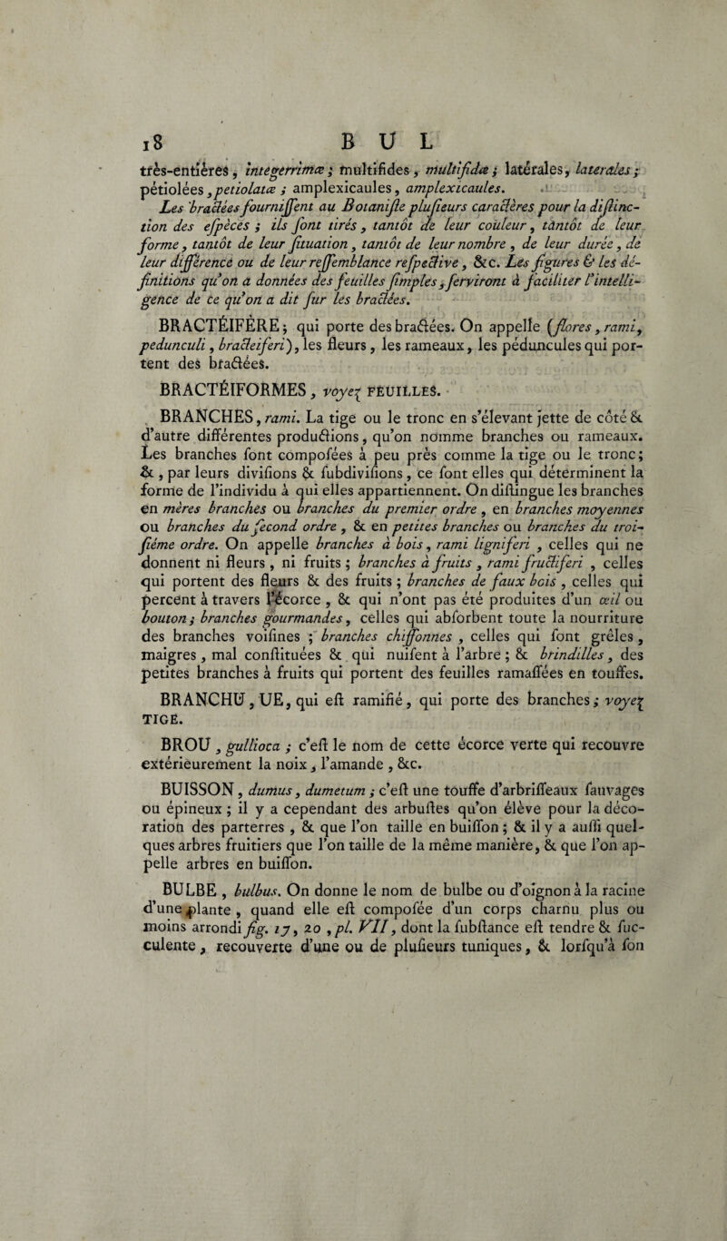 très-entières, integerrimæ ; multifldes, multifidœ ; latérales, latérales ; pétiolées ,petiolatœ ; amplexicaules, amplexicaules. Les 'bradées fourniffent au Botanifie plufieurs caractères pour la difiinc- tion des efpèces ; ils font tirés, tantôt de leur couleur, tantôt de leur forme , tantôt de leur ftuation, tantôt de leur nombre , de leur durée, de leur différence ou de leur reffemb lance refpedive, Sic. Les figures & les dé¬ finitions qu on a données des feuilles fimples ffery iront à faciliter /’intelli¬ gence de ce quon a dit fur les bradées. BRACTÉIFÈRE; qui porte des bradées. On appelle {flores, rami, pedunculi, bradeiferi), les fleurs, les rameaux, les pédoncules qui por¬ tent des bradées. BRACTÉIFORMES, voye^ feuilles. BRANCHES , rami. La tige ou le tronc en s’élevant jette de côté 8c d’autre différentes produdions, qu’on nomme branches ou rameaux. Les branches font compofées à peu près comme la tige ou le tronc; & , par leurs diviflons 8c fubdivifions, ce font elles qui déterminent la forme de l’individu à qui elles appartiennent. Ondiffingue les branches en mères branches ou branches du premier ordre , en branches moyennes OU branches du fécond ordre , 8c en petites branches ou branches du troi- fiéme ordre. On appelle branches à bois, rami ligniferi , celles qui ne donnent ni fleurs , ni fruits ; branches a fruits s rami frudiferi , celles qui portent des fleurs 8c des fruits ; branches de faux bois , celles qui percent à travers l’écorce , 8c qui n’ont pas été produites d’un œil ou bouton ; branches gourmandes, celles qui abforbent toute la nourriture des branches voifines ; branches chiffonnes , celles qui font grêles , maigres, mal conffituées 8c qui nuifent à l’arbre ; 8c brindilles, des petites branches à fruits qui portent des feuilles ramaffées en touffes. BRANCHU, UE, qui eff ramifié, qui porte des branches; voye^ TIGÉ. BROU gullioca ; c’eff le nom de cette écorce verte qui recouvre extérieurement la noix, l’amande , 8cc. BUISSON, dumus, dumetum ; c’eff une touffe d’arbriffeaux fauvages ou épineux ; il y a cependant des arbuffes qu’on élève pour la déco¬ ration des parterres , 8c que l’on taille en buiffon ; 8c il y a auffi quel¬ ques arbres fruitiers que l’on taille de la même manière, 8c que l’on ap¬ pelle arbres en buiffon. BULBE , bulbus. On donne le nom de bulbe ou d’oignon à la racine d’une plante , quand elle eff compofée d’un corps charnu plus ou moins arrondi fig. ty, zo ,pl. Vlî, dont la fubffance eff tendre 8c fuc- cuiente, recouverte d’une ou de plufieurs tuniques, 8c lorfqu a fon