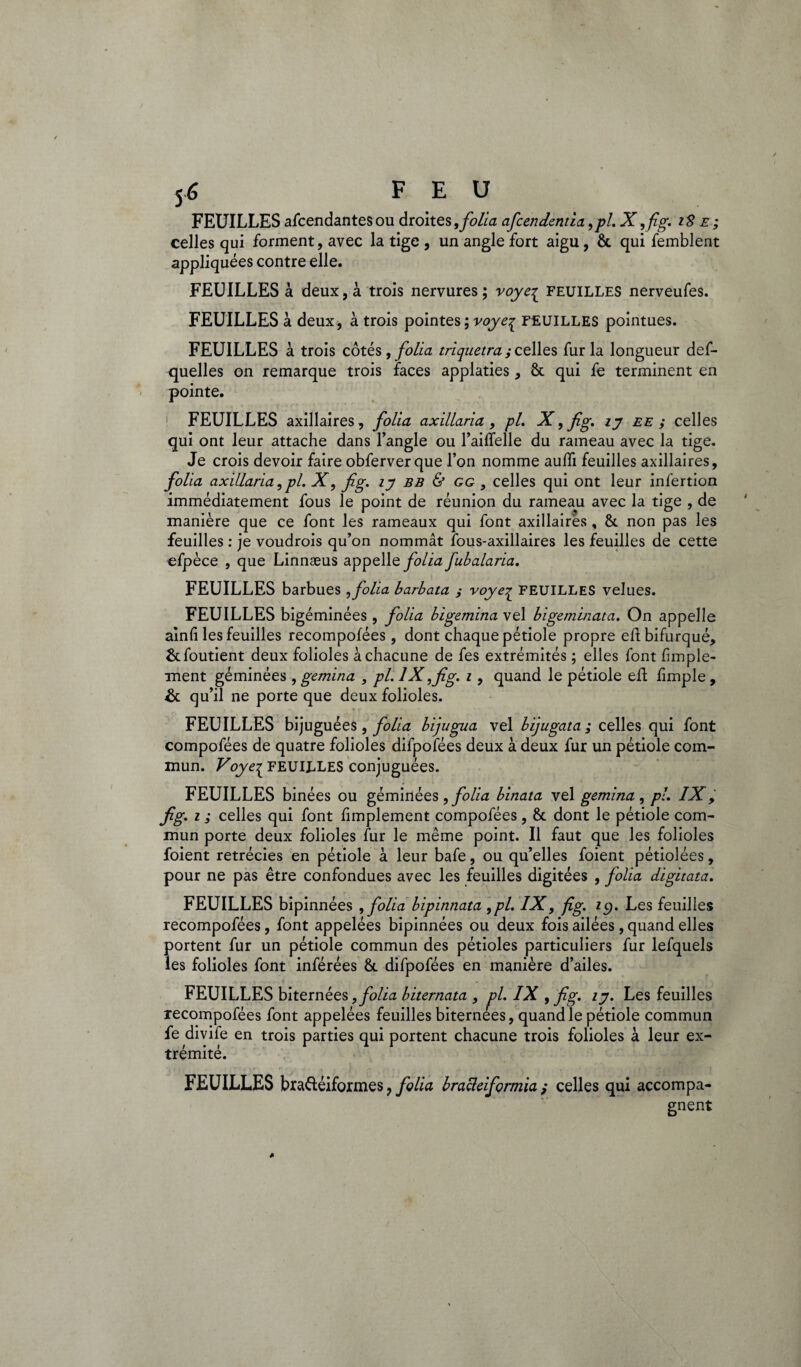 FEUILLES ascendantes ou droites, folia afcendentia ,pl.X,fig. 18 e ; celles qui forment, avec la tige , un angle fort aigu, &. qui Semblent appliquées contre elle. FEUILLES à deux, à trois nervures; voye^ FEUILLES nerveufes. FEUILLES à deux, à trois pointes; voyeq FEUILLES pointues. FEUILLES à trois côtés, folia triquetra ,• celles fur la longueur des¬ quelles on remarque trois faces applaties, & qui fe terminent en pointe. 1 FEUILLES axillaires, folia axillaria , pi. X, fig. ly ee ; celles qui ont leur attache dans l’angle ou l’ailTelle du rameau avec la tige. Je crois devoir faire obferverque l’on nomme auhi feuilles axillaires, folia axillaria 9pl. X, fig. ly b b & gg , celles qui ont leur infertion immédiatement fous le point de réunion du rameau avec la tige , de manière que ce font les rameaux qui font axillaires , & non pas les feuilles : je voudrois qu’on nommât fous-axillaires les feuilles de cette efpèce , que Linnæus appelle folia fubalaria. FEUILLES barbues ,folia barbata ; voyeq FEUILLES velues. FEUILLES bigéminées , folia bigemina vel bigeminata. On appelle ainfi les feuilles recompofées, dont chaque pétiole propre eh bifurqué, &foutient deux folioles à chacune de fes extrémités ; elles font Simple¬ ment géminées , gemina , pi. IX ,fig. i, quand le pétiole eh Simple , & qu’il ne porte que deux folioles. FEUILLES bijuguées, folia bijugua vel bijugata ; celles qui font compofées de quatre folioles difpofées deux à deux fur un pétiole com¬ mun. Voye£ FEUILLES conjuguées. FEUILLES binées ou géminées , folia binata vel gemina , pi. IX> fig. i ; celles qui font Simplement compofées, & dont le pétiole com¬ mun porte deux folioles fur le même point. Il faut que les folioles foient rétrécies en pétiole à leur bafe, ou qu’elles foient pétiolées, pour ne pas être confondues avec les feuilles digitées , folia digitata. FEUILLES bipinnées ,folia bipinnata 9pl. IX, fig. 19. Les feuilles recompofées, font appelées bipinnées ou deux fois ailées, quand elles portent fur un pétiole commun des pétioles particuliers fur lefquels les folioles font inférées & difpofées en manière d’ailes. FEUILLES biternées, folia biternata , pl. IX , fig. ly. Les feuilles recompofées font appelées feuilles biternées, quand le pétiole commun fe divife en trois parties qui portent chacune trois folioles à leur ex¬ trémité. FEUILLES braftéiformes, folia bracleiformia ; celles qui accompa¬ gnent