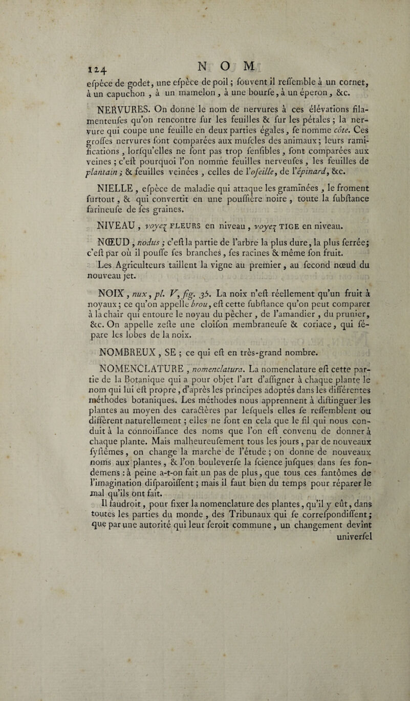 NOM efpèce de godet, une efpèce de poil ; fou vent il reffemble à un cornet, à un capuchon , à un mamelon , à une bourfe, à un éperon, &c. NERVURES. On donne le nom de nervures à ces élévations fila- menteufes qu’on rencontre fur les feuilles & fur les pétales ; la ner¬ vure qui coupe une feuille en deux parties égales , fe nomme cote. Ces groffes nervures font comparées aux mufcles des animaux; leurs rami¬ fications 5 lorfqu’elles ne font pas trop fenfibîes, font comparées aux veines ; c’elb pourquoi l’on nomme feuilles nerveufes, les feuilles de plantain; & feuilles veinées , celles de Yofeille, de Y épinard, &c. NIELLE , efpèce de maladie qui attaque les graminées , le froment furtout, & qui convertit en une pouffière noire , toute la fubftance farineufe de fes graines. NIVEAU , voye^ FLEURS en niveau , voye^ TIGE en niveau. NCEUD , nodus ; c’eftla partie de l’arbre la plus dure, la plus ferrée; c’eft par où il pouffe fes branches, fes racines 8t même fon fruit. Les Agriculteurs taillent la vigne au premier, au fécond nœud du nouveau jet. NOIX , nux, pi. V, fig. j5. La noix n’efl réellement qu’un fruit à noyaux; ce qu’on appelle brou, eft cette fubftance qu’on peut comparer à la chair qui entoure le noyau du pêcher , de l’amandier , du prunier, fkc. On appelle zefte une cloifon membraneufe & coriace, qui fé- pare les lobes de la noix. NOMBREUX , SE ; ce qui. eft en très-grand nombre. NOMENCLATURE , nomenclatura. La nomenclature efl cette par¬ tie de la Botanique qui a pour objet l’art d’aftigner à chaque plante le nom qui lui eft propre , d’après les principes adoptés dans les différentes méthodes botaniques. Les méthodes nous apprennent à diftinguer les plantes au moyen des caraélères par lefquels elles fe reffemblent ou diffèrent naturellement ; elles ne font en cela que le fil qui nous con¬ duit à la connoiffance des noms que l’on eft convenu de donner à chaque plante. Mais malheureufement tous les jours, par de nouveaux fyftêmes, on change la marche de l’étude ; on donne de nouveaux noms aux plantes, & l’on bouleverfe la fcience jufques dans fes fon- demens :à peine a-t-on fait un pas de plus, que tous ces fantômes de l’imagination difparoiffent ; mais il faut bien du temps pour réparer le mal qu’ils ont fait. Il faudroit, pour fixer la nomenclature des plantes, qu’il y eût, dans toutes les parties du monde , des Tribunaux qui fe correfpondiffent ; que par une autorité qui leur feroit commune , un changement devînt univerfel