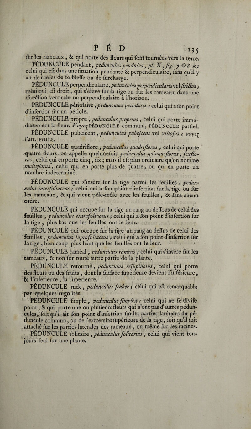 far les rameaux , & qui porte des fleurs qui font tournées vers la terre. PÉDUNCULE pendant, pedunculus pendulus, pi. X y & 8 R; celui qui efl dans unefituation pendante 8t perpendiculaire, fans qu’il y ait de caufes de foibleffe ou de furcharge. PEDONCULE perpendiculaire,pedunculus perpendicularis\ç\Jlrictus; celui qui efl droit, qui s’élève fur la tige ou fur les rameaux dans une direéfion verticale ou perpendiculaire à l’horizon. PEDONCULE pétiolaire ,pedunculus petiolaris ; celui qui afon point d’infertion fur un pétiole. PEDUNCULE propre ,pedunculusproprius, celui qui porte immé¬ diatement la fleur. Voyeq PÉDUNCULE commun, PÉDUNCULE partiel. PÉDUNCULE pubefcent , pedunculus pubefcens vel villofus ; voye^ l’art. POILS. PÉDUNCULE quadriflore , peduncillus quadriflorus ,* celui qui porte quatre fleurs: on appelle quelquefois pedunculus quinqueflorus, fexflo~ rus, celui qui en porte cinq , flx ; mais il efl plus ordinaire qu’on nomme multiflorus, celui qui en porte plus de quatre, ou qui en porte un nombre indéterminé. PÉDUNCULE qui s’insère fur la tige parmi les feuilles , pedun¬ culus interfoliaceus ; celui qui a fon point d’infertion fur la tige ou fur les rameaux, 8t qui vient pêle-mêle avec les feuilles, &. fans aucun ordre. PÉDUNCULE qui occupe fur la tige un rang au-deflousde celui des feuilles , pedunculus extrafoliaceus ; celui qui a fbn point d’infertion fut la tige , plus bas que les feuilles ont le leur. r - PEDUNCULE qui occupe fur la tige un rang au defliis de celui des feuilles, pedunculus fuprafoliaceus ; celui qui a fon point d’infertion fur la tige , beaucoup plus haut que les feuilles ont le leur. PÉDUNCULE raméal, pedunculus rameus ,• celui qui s’insère fur les rameaux, 8t non fur toute autre partie de la plante. PÉDUNCULE retourné , pedunculus refupinatus ; celui qui porte des fleurs ou des fruits , dont la furface fupérieure devient l’inferieure, & l’inférieure, la fupérieure. PÉDUNCULE rude, pedunculus fcaber; celui qui efl remarquable par quelques rugofités. PÉDUNCULE Ample, pedunculusJimplex; celui qui ne fe divife point, 8c qui porte une ou plufieursfleurs qui n’ont pas d’autres pédun- cules, foit qu’il ait fôn point d’infertion fut les parties latérales du pé- duncule commun, ou de l’extrémité fupérieure de la tige, foit qu’il foit attaché fur les parties latérales des rameaux, ou même fur les racines. PÉDUNCULE folitaire ,pedunculus folitarius ,♦ celui qui vient tou¬ jours feul fur une plante. /
