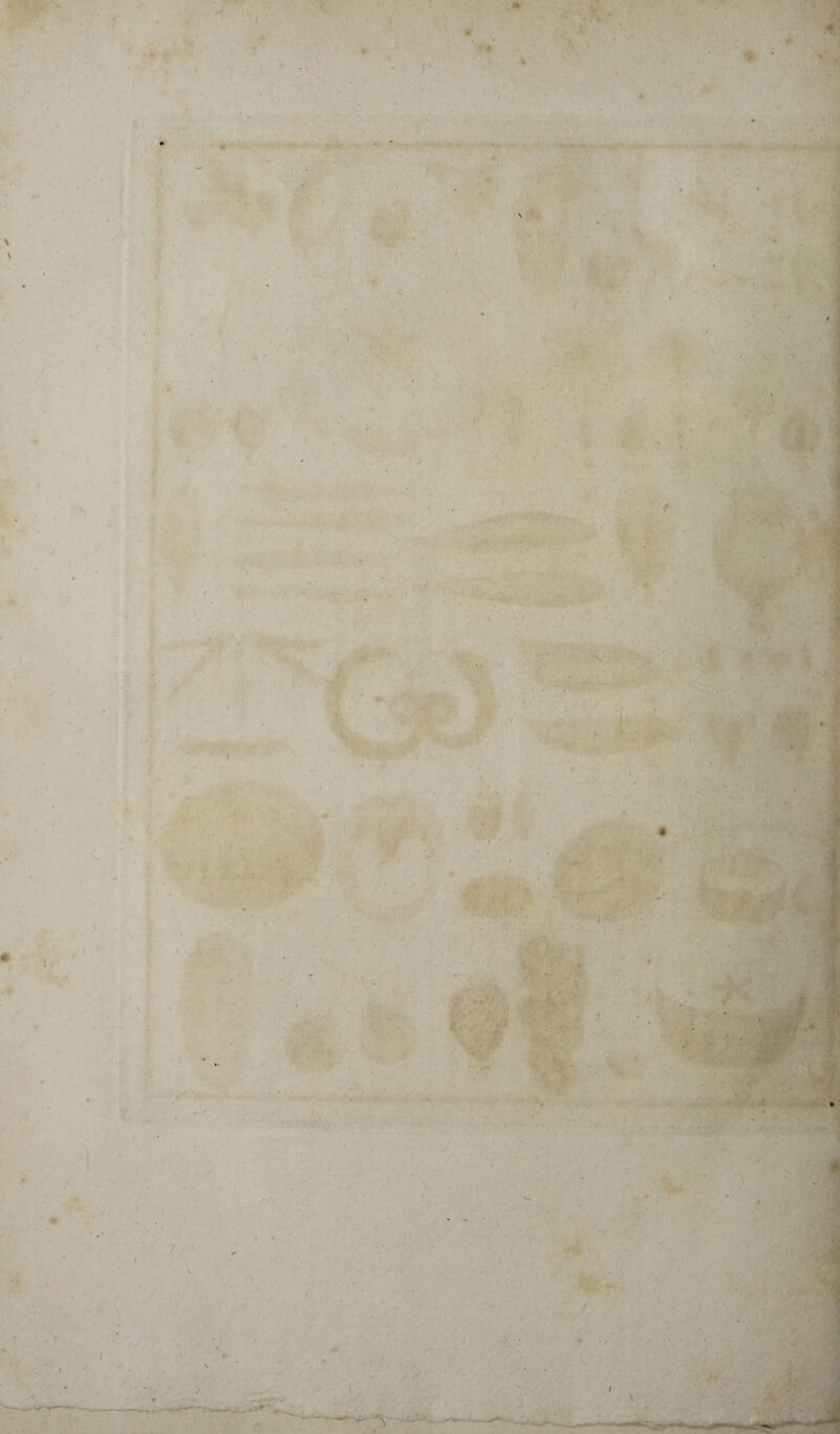 \ \ S' r ** * «? r - » '-V » ■ ♦ ' - ■