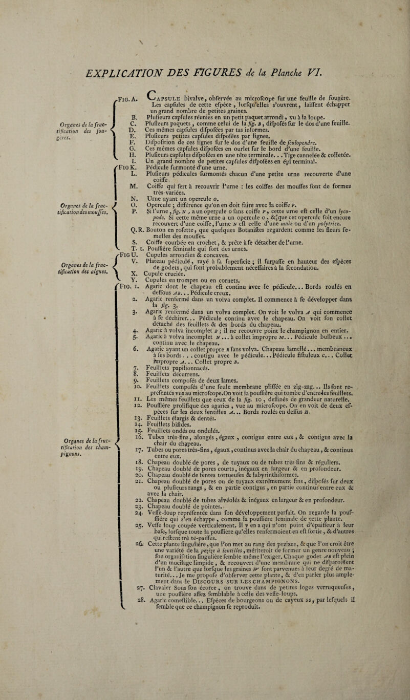 Organes de la fruc¬ tification des fou¬ gères. Organes de la fruc¬ tification des moujjes. ( I < Organes de la fruc¬ tification des algues. B. C. D. E. F. G. H. I. Fig K. L. M. N. O. P. Q.R S. T. t, Fig U. V. \ X. V Y. 'Fig. i. i. 4- 5- 6. 7* 8. v-'APSTJLE bivalve, obfervée au microfcope fur une feuille de fougère. Les capfules de cette efpèce , Jusqu'elles s’ouvrent, laiffent échapper un grand nombre de petites graines. Plufieurs capfules réunies en un petit paquet arrondi, vu à la loupe. Plufieurs paquets, comme celui de la fig. b , difpofés fur le dos d’une feuille. Ces mêmes capfules difpofées par tas informes. Plufieurs petites capfules difpofées par lignes. Difpofirion de ces lignes fur le dos d’une feuille de fcolopendre. Ces mêmes capfules difpofées en ourlet fur le bord d’une feuille. Plufieurs capfules difpofées en une tête terminale. . . Tige cannelée & colletée. Un grand nombre de petites capfules difpofées en épi terminal. Pédicule furmonté d’une urne. Plufieurs pédicules furmontés chacun d’une petite urne recouverte d’une coitfe Coiffe qui fert à recouvrir l’urne : les coiffes des moufles font de formes très-variées. Urne ayant un opercule o. Opercule ; différence qu’on en doit faire avec la coiffe p. Si l’urne ,fig. n , aunoperpule ofans coiffe p, cette urne eft celle d’un lyco- poie. Si cette même urne a un opercule o , &Jque cet opercule foit encore recouvert d’une coiffe, l’urne jv eft celle d’une mtiie ou d’un polytrice. . Bouton en rofette, que quelques Botaniftes regardent comme les fleurs fe¬ melles des moufles. Coiffe courbée en crochet, & prête àfe détacher de l’urne. . Pouffière féminaie qui fort des urnes. Cupules arrondies & concaves. Plateau pédiculé, rayé à fa fuperficie ; il furpaffe en hauteur des efpèces de godets, qui font probablement nécelfairesà la fécondatiou. Cupule cruciée. Cupules en trompes ou en cornets. Agaric dont le chapeau eft continu avec le pédicule... Bords roulés en deffous ab. .. Pédicule creux. Agaric renfermé dans un volva complet. Il commence à fe développer dans fc./fr. 3* Agaric renfermé dans un volva complet. On voit le volva A qui commence à fe déchirer... Pédicule continu avec le chapeau. On voit fon collet détaché des feuillets & des bords du chapeau. Agaric à volva incomplet b ; il ne recouvre point le champignon en entier. Agaric à volva incomplet n ... à collet impropre m_Pédicule bulbeux ... continu avec le chapeau. Agaric ayant un collet propre r fans volva. Chapeau ïameflé... membraneux il fes bords. . . contigu avec le pédicule... Pédicule fiftuleux c... Collet impropre a. .. Collet propre b. Feuillets papilionnacés. Feuillets décurrens. Organes de la fruc- . tification des cham- \ pignons. 9. Feuillets compofés de deux lames. 10. Feuillets compofés d’une feule membrane pliffée en zig-zag... Ils font re~ préfentés vus au microfcope.On voit la pouffière qui tombe d’entre4es feuillets. 11. Les mêmes feuillets que ceux de la fig. 10 , deffinés de grandeur naturelle. 12. Pouflîère prolifique des agarics, vue au microfcope. On en voit de deux ef¬ pèces fur les deux lentilles a. .. Bords roulés en deflus h. 13. Feuillets élargis & dentés. 14. Feuillets bifides. 15. Feuillets ondés ou ondulés. 16. Tubes très fins, alongés, égaux , contigus entre eux, & contigus avec la chair du chapeau. 17. Tubes ou pores très-fins, égaux, continus avec la chair du chapeau, & continus entre eux. 18. Chapeau doublé de pores, de tuyaux ou de tubes très fins & réguliers. 19. Chapeau doublé de pores courts, inégaux en largeur & en profondeur. 20. Chapeau doublé de fentes tortueufes & labyrinthiformes. 2X. Chapeau doublé de pores ou de tuyaux extrêmement fins, difpofés fur deux ou plufieurs rangs , & en partie contigus, en partie continus entre eux de avec la chair. 22. Chapeau doublé de tubes alvéolés & inégaux en largeur & en profondeur. 23. Chapeau doublé de pointes. 24. Velfe-loup repréfentée dans fon développement parfait. On regarde la pouf- ffiére qui s’en échappe , comme la pouffière leminale de cette plante. 25. Veffe loup coupée verticalement. Il y en a qui n’ont point d’épaiffeur à leur bafe, lorfque toute la pouffière qu’elles renfermoient en eft l’ortie , «St d’autres qui relient trè té-paifles. 26. Cette plante fingulière,que l’on met au rang des pezizes, & que l’on croit être une variété delà pe\i\e à lentilles, mériteroit de former un genre nouveau ; fon organifnion finguiière femble même l’exiger. Chaque godet a b eft plein d’un mucilage limpide , & recouvert d’une membrane qui ne difparoiflènt l’un & l’autre que lorfque les graines rv fontparvenues à leur degré de ma¬ turité. .. Je me propofe d’obferver cette plante, & d’en parler plus ample¬ ment dans le Discours sur les champignons. 27. Clavaier Sous fon écorce, on trouve dans de petites loges verruqueufes, une pouffière allez femblable à celle des velfe-ioups. 28. Agaric comeftible... Efpèces de bourgeons ou de cayeux ss} par lefquels il femble que ce champignon fe reproduit.