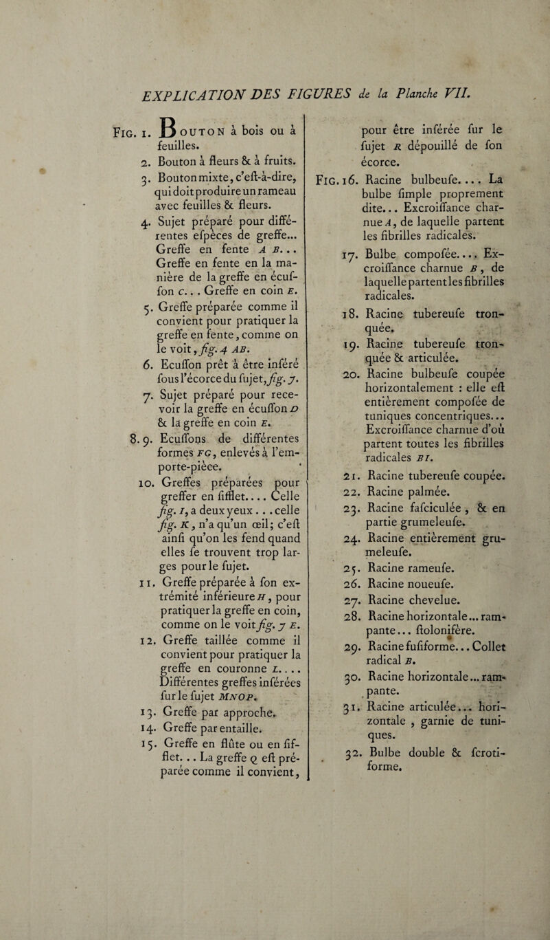 Fig. i. & oUToN à bois ou à feuilles. 2. Bouton à fleurs 8c à fruits. 3. Bouton mixte, c’eft-à-dire, qui doit produire un rameau avec feuilles 8c fleurs. 4. Sujet préparé pour diffé¬ rentes efpèces de greffe... Greffe en fente AB.,, Greffe en fente en la ma¬ nière de la greffe en écuf- fon c.. . Greffe en coin e. 5. Greffe préparée comme il convient pour pratiquer la greffe en fente * comme on le voit,fig.4 ab. 6. Ecuffon prêt à être inféré fous l’écorce du fujet, fig. y. 7. Sujet préparé pour rece¬ voir la greffe en écuffonz? 8c la greffe en coin e, 8.9. Ecuifons de différentes formes fg, enlevés à l’em- * porte-pièce. 10. Greffes préparées pour greffer en fifflet.... Celle fig. 1, a deux yeux .. . celle fig. K, n’a qu’un œil; c’efl ainfi qu’on les fend quand elles fe trouvent trop lar¬ ges pour le fujet. 11. Greffe préparée à fon ex¬ trémité inférieure h , pour pratiquer la greffe en coin, comme on le voit fig. y e. 12. Greffe taillée comme il convient pour pratiquer la greffe en couronne l. . .. Différentes greffes inférées furie fujet mnop. 13. Greffe par approche. 14. Greffe par entaille. 15. Greffe en flûte ou en fif¬ flet. .. La greffe q efl pré¬ parée comme il convient, pour être inférée fur le fujet R dépouillé de fon écorce. FlG. 16. Racine bulbeufe. ... La bulbe fimple proprement dite... Excroiffance char¬ nue A, de laquelle partent les fibrilles radicales. 17. Bulbe compofée.... Ex- croiffance charnue B, de laquelle partentles fibrilles radicales. 18. Racine tubereufe tron¬ quée. 19. Racine tubereufe tron¬ quée 8c articulée. 20. Racine bulbeufe coupée horizontalement : elle efl; entièrement compofée de tuniques concentriques... Excroiffance charnue d’où partent toutes les fibrilles radicales bi. 21. Racine tubereufe coupée. 22. Racine palmée. 23. Racine fafciculée , 8c en partie grumeleufe. 24. Racine entièrement gru¬ meleufe. 25. Racine rameufe. 26. Racine noueufe. 27. Racine chevelue. 28. Racine horizontale...ram¬ pante... ftolonifère. 29. Racine fufiforme... Collet radical b, 30. Racine horizontale ...ram¬ pante. 31. Racine articulée... hori¬ zontale , garnie de tuni¬ ques. 32. Bulbe double 8c fcroti- forme.