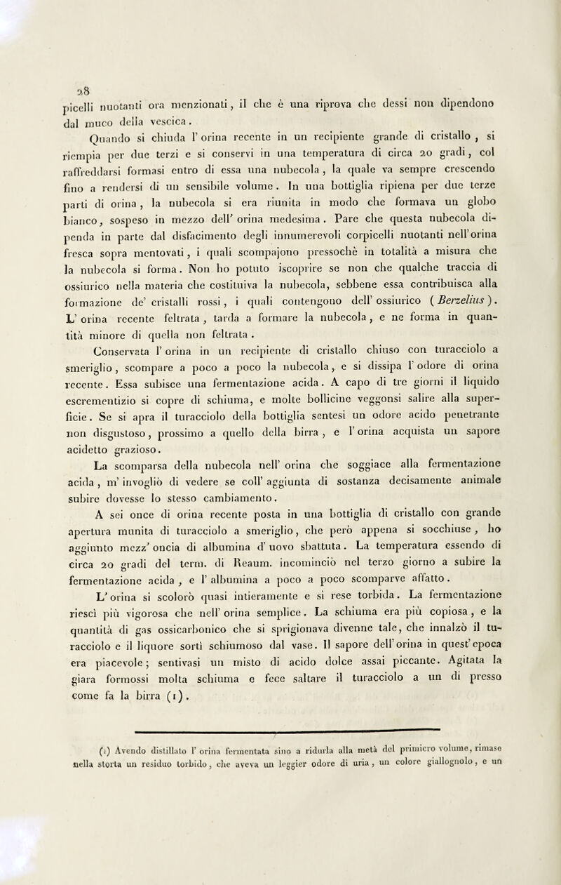 picelli nuotanti ora menzionati, ii clie e una riprova clie dcssi non dipendono dal muco dclia vcscica . Quando si chiuda 1’ orina recente in un recipiente grande di cristallo , si riempia per due terzi e si conservi in una temperatura di circa 20 gradi, coi raffreddarsi formasi entro di essa una nubecola , la quale va sempre crescendo fino a rendersi di un sensibile volume . In una bottiglia ripiena per due terze parti di orina , la nubecola si era riunita in modo che formava un globo bianco, sospeso in mezzo delT orina medesima . Pare che questa nubecola di- pcnda in parte dal disfacimento degli innumerevoli corpicelli nuotanti nell’orina fresca sopra mentovati , i quali scompajono pressoche in totalita a misura che la nubecola si forma. Non ho potuto iscoprire se non che qualche traccia di ossiurico nella materia che costituiva la nubecola, sebbene essa contribuisca alia formazione de’ cristalli rossi , i quali contengono dell’ossiurico (Berzehus). L’ orina rccente feltrata , tarda a formare la nubecola , e ne forma in quan- iita minore di quella non feltrata . Conservata 1’ orina in un recipiente di cristallo cliiuso con turacciolo a smeriglio , scompare a poco a poco la nubecola, e si dissipa 1 odore di orina recente. Essa subisce una fermentazione acida. A capo di tre giorni il liquido escrementizio si copre di schiuma, e molte bollicine veggonsi salire alia super¬ ficie . Se si apra il turacciolo deiIa bottiglia sentesi un odore acido penetrante non disgustoso, prossimo a quello della birra , e 1’ orina acquista un sapore acidetto grazioso. La scomparsa della nubecola nelf orina che soggiace alia fermentazione acida , m’ invoglio di vedere se coli’ aggiunta di sostanza decisamente animale subire dovesse lo stesso cambiamento. A sei once di orina recente posta in una bottiglia di cristallo con grande apertura munita di turacciolo a smeriglio, che pero appena si socchiuse , ho aggiunto mezz’ oncia di albumina d’uovo sbattuta. La temperatura essendo di circa 20 gradi dei term. di Reaum. incomincio nel terzo giorno a subire la fermentazione acida , e I’ albumina a poco a poco scomparve alfatto. L’ orina si scoloro quasi intieramente e si rese torbida. La fermentazione riesci piu vigorosa che nelf orina semplice. La schiuma era piu copiosa, e la quantita di gas ossicarbonico che si sprigionava divenne tale, che innalzo il tu¬ racciolo e il liquore sorti schiumoso dal vase. Il sapore dell orina in quest cpoca era piacevole ; sentivasi un misto di acido dolce assai piccantc. Agitata Ia giara formossi molta schiuma e fece saltare il turacciolo a un di presso come fa la birra (1) . (1) Avendo distillato 1’orina fermentata sino a ridurla alia meta dei primiero volume, rimase nella storta un residuo torbido, clie aveva un leggier odore di uria , un colore giallognolo, e un