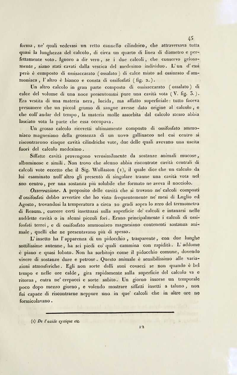 forma, ne’ qnali vedevasi un relto cannello cilindrico, clie attraversava tutta quasi la lunghezza dei calcolo, di circa un quarto di linea di diametro e per- fettamente voto. Ignoro a dir vero , se i due calcoli , che conservo geiosa- mente siano stati cavati dalla vescica dei medesimo individuo. L’un d'essi pero e composto di ossisaccarato (ossalato ) di calce misto ad ossiurato d’am- moniaca , Y altro e bianco e consta di ossifosfati ( fig. 2. ). Un altro calcolo in gran parte composto di ossisaccarato (ossalato) di calce dei volume di una noce presentommi pure una cavita vota ( V. fig. 3.). Era vestita di una materia nera, lucida, ma affatto superficiale: tutto faceva presumere che un piccol grumo di sangue avesse dato origine al calcolo , e che coli’ andar dei tempo, la materia molle assorbita dal calcolo stesso abbia fasciato vota la parte clie essa occupava. Un grosso calcolo ricevetti ultimamente composto di ossifosfato ammo- niaco magnesiano della grossezza di un uovo gallinaceo nel cui centro si riscontrarono cinque cavita cilindriche vote, due delle quali ave vano una uscita fuori dei calcolo medesimo. SifTatte cavita provengono verosimilmente da sostanze animali mucose, albuminose e simili . Non trovo che alcuno abbia riscontrate cavita centrali di calcoli vote eccetto che il Sig. Wollaston (1), il quale dice che un calcolo da lui esaminato null’ altro gli presento di singolare tranne una cavita vota nel stio centro, per una sostanza piii solubile che formato ne aveva il nocciolo. Ossermziojie. A proposito delle cavita che si trovano ne’ calcoli composti d’ossifosfati debbo avvertire che ho visto frequentemente ne’ raesi di Luglio ed Agosto, trovandosi la temperatura a circa 20 gradi sopra lo zero dei termometro di fteaum., correre certi insettuzzi sulla superficie de’ calcoli e intanarsi nelle suddette cavita o in alcuni piccoli fori. Erano principalmente i calcoli di ossi¬ fosfati terrei, e di ossifosfato ammoniaco magnesiano contenenti sostanza ani¬ male, quelli che ne presentavano piu, di spesso. L’ insetto ha 1’ apparenza di un pidocchio , trasparente , con due lunglxe sottilissime antenne , ha sei piedi co’ quali cammina con rapidita. L’ addome e piano e quasi lobato. Non ha sorbitojo come il pidocchio comune, dovendo vivere di sostanze dure e petrose . Questo animale e sensibilissimo alie varia- zioni atmosferiche. Egli non sorte dalli suoi covacci se non quando e bel tempo e nelle ore calde > gira rapidamente sulla superficie dei calcolo va e ritorna , entra ne' crepacci e sorte subito. Un giorno insorse un temporale poco dopo mezzo giorno , e volendo mostrare siffatti insetti a taluno , non fui capace di riscontrarne neppure uno in que’ calcoli che in altre ore ne formicolavano. (1) De l’ oxide cjstique etc> 12