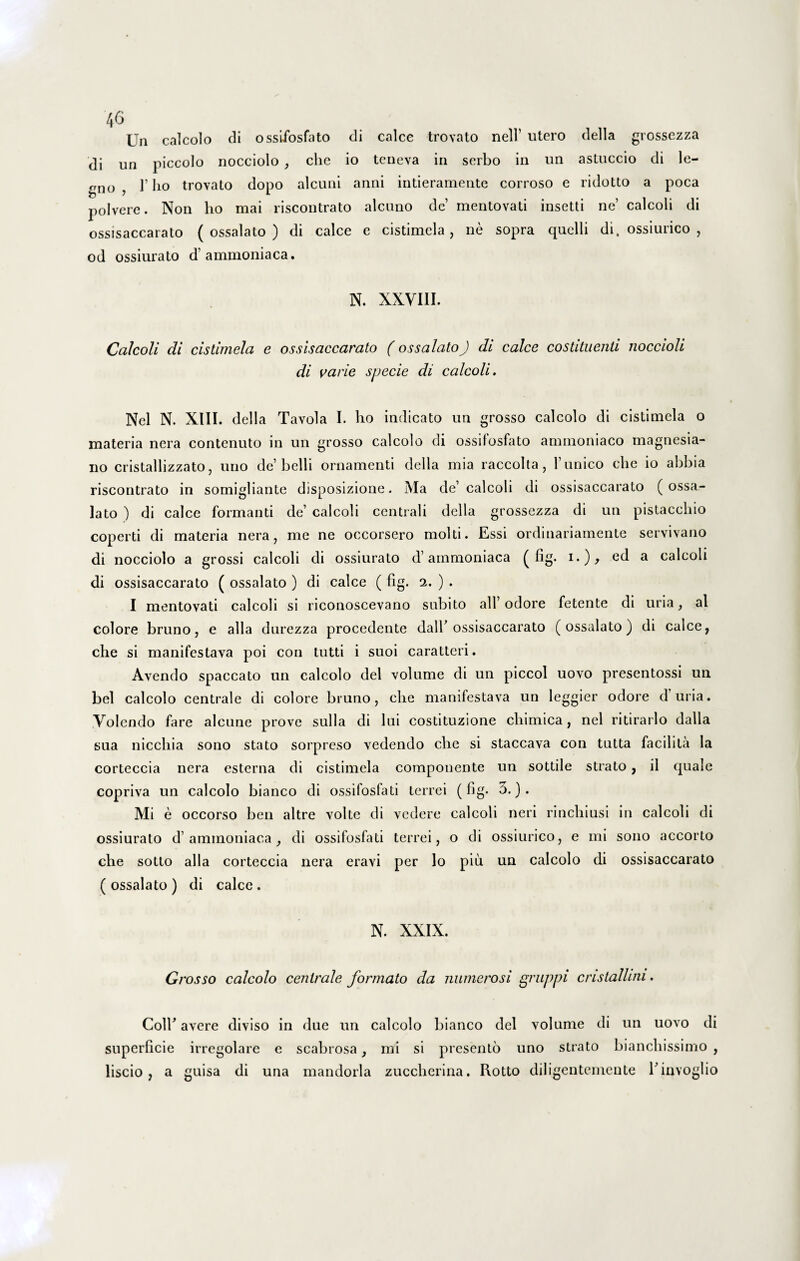 Un calcolo di ossifosfato di calce trovato nell' utero della grossezza di un piccolo nocciolo , che io teneva in serbo in un astuccio di le- gno ? 1’ ho trovato dopo alcuni anni intieramente corroso e ridotto a poca polvere. Non ho mai riscontrato alcuno de’ mentovati insetti ne’ calcoli di ossisaccarato ( ossalato ) di calce e cistimela, ne sopra quelli di, ossiurico , od ossiurato hammoniaca. N. XXVIII. Calcoli di cistimela e ossisaccarato (ossalatoJ di calce costituenti noccioli di varie specie di calcoli. Nel N. XIII. della Tavola I. ho indicato un grosso calcolo di cistimela o materia nera contenuto in un grosso calcolo di ossifosfato ammoniaco magnesia- iio cristallizzato, uno de’belli ornamenti della mia raccolta, 1’ unico che io abbia riscontrato in somigliante disposizione. Ma de’ calcoli di ossisaccarato ( ossa¬ lato ) di calce formanti de’ calcoli centrali della grossezza di un pistacchio coperti di materia nera, me ne occorsero molti. Essi ordinariamente servivano di nocciolo a grossi calcoli di ossiurato hammoniaca ( fig. i.), ed a calcoli di ossisaccarato ( ossalato ) di calce ( fig. 2. ) . I mentovati calcoli si riconoscevano subito ali’odore fetente di uria, al colore bruno, e alia durezza procedente dalb ossisaccarato (ossalato) di calce, che si manifestava poi con tutti i suoi caratteri. Avendo spaccato un calcolo dei volume di un piccol uovo presentossi un bel calcolo centrale di colore bruno, che manifestava un leggier odore d uria. Volendo fare aleune prove sulla di lui costituzione chimica, nel ritirarlo dalla sua nicchia sono stato sorpreso vedendo che si staccava con tutta facilita la corteccia nera esterna di cistimela componente un sottile strato, ii quale copriva un calcolo bianco di ossifosfati terrei (fig. 3.). Mi e occorso ben altre volte di vedere calcoli neri rinchiusi in calcoli di ossiurato d’ aminoniaca , di ossifosfati terrei, o di ossiurico, e mi sono accorto che sotto alia corteccia nera eravi per lo piii un calcolo di ossisaccarato ( ossalato ) di calce . N. XXIX. Grosso calcolo centrale formato da numerosi gruppi cristallini. Colh avere diviso in due un calcolo bianco dei volume di un uovo di superficie irregolare e scabrosa, mi si presento uno strato bianchissimo , liscio, a guisa di una mandorla zuccherina. Rotto diligentemente Tinvoglio