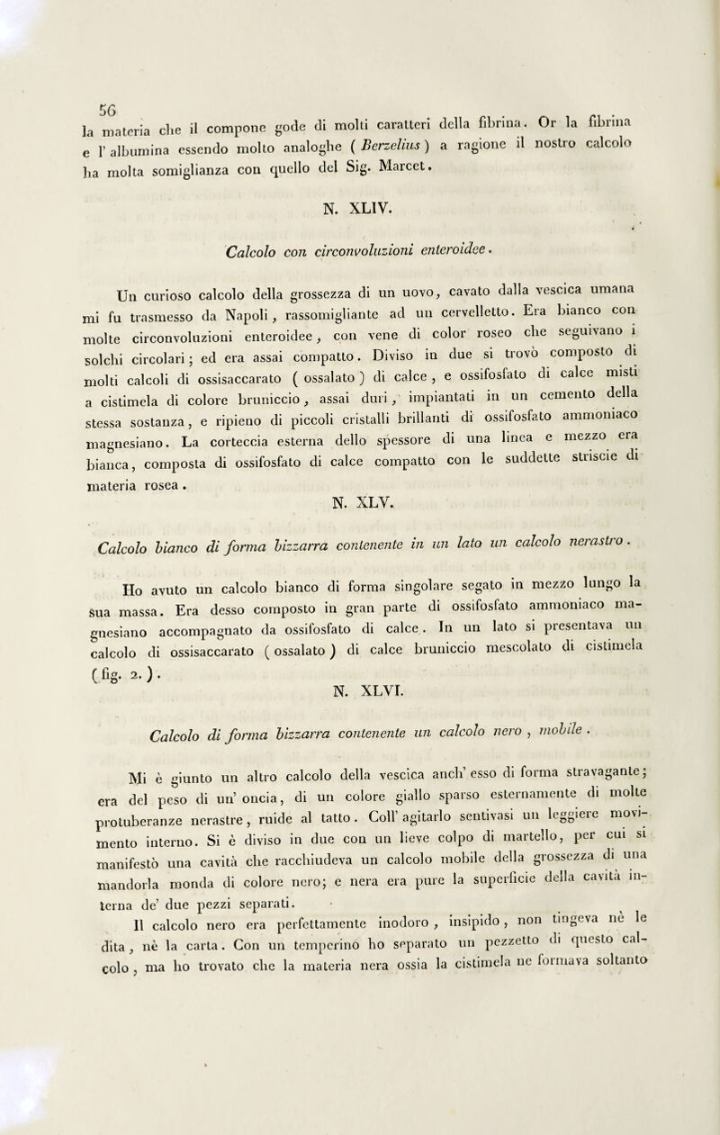 e 1’ albumina essendo molto analoghe ( Berzelius ) a ragione il nostro calcolo ha molta somiglianza con quello dei Sig. Marcet. N. XL1V. Calcolo con circonvoluzioni enteroidee. Un curioso calcolo della grossezza di un uovo, cavato dalla vescica umana mi fu trasmesso da Napoli, rassomigliante ad un cervelletto. Era bianco cou molte circonvoluzioni enteroidee, con vene di color roseo clie seguivano i solchi circolari; ed era assai compatto. Diviso in due si trovo composto di molti calcoli di ossisaccarato ( ossalato ) di calce , e ossifosfato di calce misti a cistimela di colore bruniccio, assai duri , impiantati in un cemento della stessa sostanza, e ripieno di piccoli cristalii brillanti di ossifosfato ammoniaco magnesiano. La corteccia esterna dello spessore di una linea e mezzo era bianca, composta di ossifosfato di calce compatto con le suddette striscie di materia rosea . N. XLV* Calcolo bianco di forma bizzarra conienente in un lato un calcolo nerastro. Ho avuto un calcolo bianco di forma singolare segato in mezzo lungo la Sua massa. Era desso composto in gran parte di ossifosfato ammoniaco ma¬ gnesiano accompagnato da ossifosfato di calce. In un lato si presentava un calcolo di ossisaccarato (ossalato) di calce bruniccio mescolato di cistimela ( fig. 2.). N. XLVI. Calcolo di forma bizzarra conienente un calcolo nero , mobile . Mi e giunto un altro calcolo della vescica anch’ esso di forma stravagante; era dei peso di un oncia, di un colore giallo sparso esternamente di molte protuberanze nerastre, ruide al tatto. Coli’ agitarlo sentivasi un leggiere movi- mento interno. Si e diviso in due con un lieve coipo di martello, per cui si manifesto una cavita clie racchiudeva un calcolo mobile della grossezza di una mandorla monda di colore nero; e nera era pure la superficie della cavita in¬ terna de’ due pezzi separati. Il calcolo nero era perfettamente inodoro , insipido, non tingeva ne le dita, ne la carta. Con un tempcrino ho separato un pezzetto di questo cal¬ colo ? ma lio trovato che la materia nera ossia la cistimela ne foimava soltanto