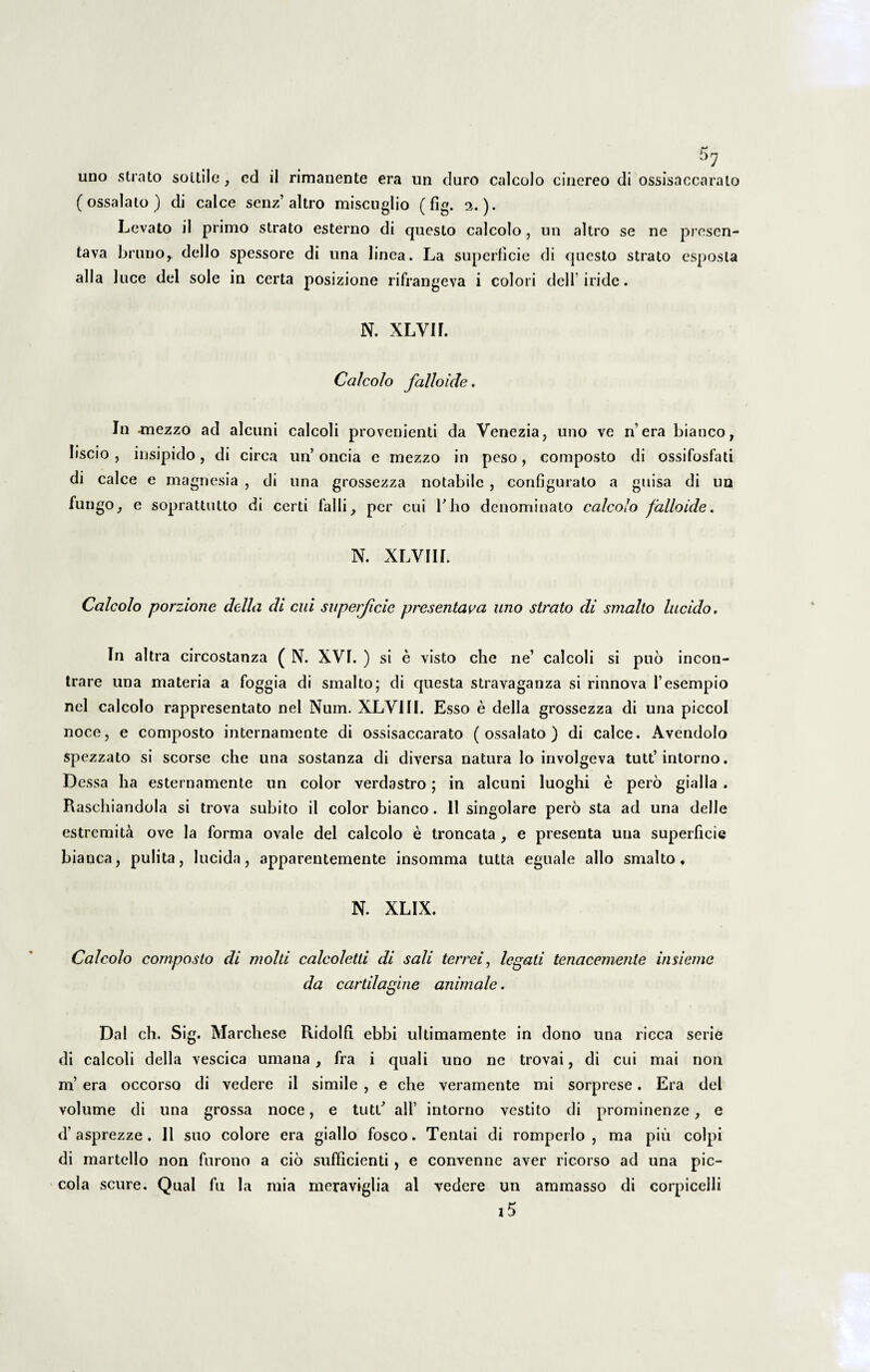 uno strato sottile , ed il rimanente era un duro calcolo cinereo di ossisaccaralo (ossalato) di calce senz’altro miseuglio (fig. 3.). Levato il primo strato esterno di questo calcolo , un altro se ne presen- tava bruno, dello spessore di una linea. La superficie di questo strato esposta alia luce dei sole in certa posizione rifrangeva i colori dell’ iride - N. XLVir. Calcolo falloide. In -mezzo ad alcuni calcoli provenienti da Venezia, uno ve n’era bianco, liscio , insipido, di circa un’ oncia e mezzo in peso, composto di ossifosfati di calce e magnesia , di una grossezza notabile , configurato a guisa di un fungo, e soprattutto di certi falli, per cui Tho denominato calcolo falloide, N. XLVIU. Calcolo porzione dclla di cui superficie presentava uno strato di smalto lucido. In altra circostanza ( N. XVI. ) si e visto che ne’ calcoli si puo incon- trare una materia a foggia di smalto; di questa stravaganza si rinnova fesempio nel calcolo rappresentato nel Num. XLV1II. Esso e della grossezza di una piccol noce, e composto internamente di ossisaccarato (ossalato) di calce. Avendolo spezzato si seorse che lina sostanza di diversa natura lo involgeva tutt’intorno. Dessa ha esternamente un color verdastro; in alcuni luoghi e pero gialla . Raschiandola si trova subito il color bianco. 11 singolare pero sta ad una delle estremita ove la forma ovale dei calcolo e troncata , e presenta una superficie biauca, pulita, lucida, apparentemente insomma tutta eguale alio smalto, N. XLIX. Calcolo composto di molti calcoletli di sali terrei, legati tenacemente insieme da cartilagine animale. Dal ch. Sig. Marchese Ridolfi ebbi ultimamente in dono una ricca serie di calcoli della vescica umana, fra i quali uno ne trovai, di cui mai non m’ era occorsa di vedere il simile , e che veramente mi sorprese. Era dei volume di una grossa noce, e tuU/ ali’ intorno vestito di prominenze, e d’ asprezze . Il suo colore era giallo fosco. Tentai di romperlo , ma piu coipi di martello non furono a cio sufficienti , e convennc aver ricorso ad una pic- cola scure. Qual fu la mia moraviglia al vedere un ammasso di corpicelli 15