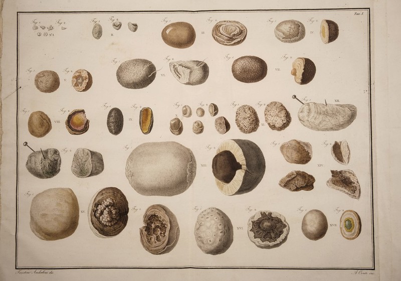 5ivu->;v ■': > y -: ;• f \W:-i:. ^Se«iV&sg« ■sp^r?? ...«<••• ygL /tc /frierctw/ (< /t/r CMC.