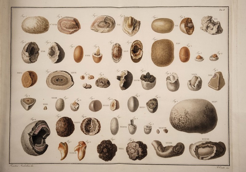 Ta»./l i 1S>' ■ r/?(</<'/'/<>//< </(J. 4 (SonU MIC i