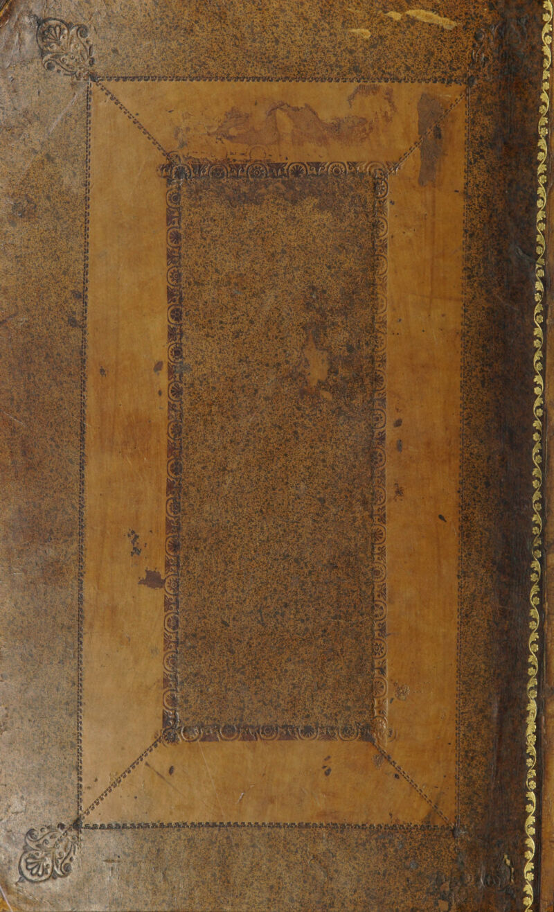 Mil l J'r VViify ISM > : ■-- • k ' ■ - *?- ■., ' ^wSMH