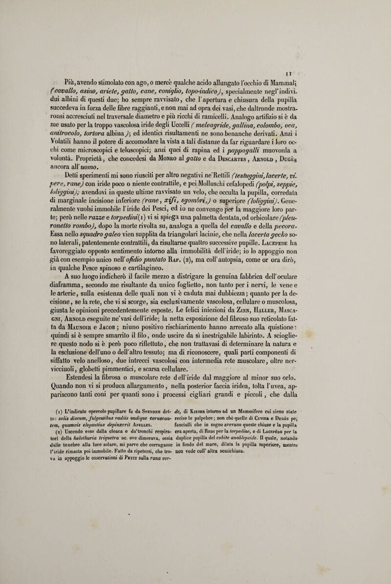 Più, avendo stimolato con ago, o mercè qualche acido allungato l’occhio di Mammali (cavallo, asino, ariete, gatto, cane, coniglio, topo-indico), specialmente negl’indivi, dui albini di questi due; ho sempre ravvisato, che l’apertura e chiusura della pupilla succedeva in forza delle fibre raggianti, e non mai ad opra dei vasi, che daltronde mostra- ronsi accresciuti nel traversale diametro e più ricchi di ramicelli. Analogo artifizio si è da me usato per la troppo vascolosa iride degli Uccelli ( meleagride, gallina, colombo, oca, anitrocolo, tortora albina)\ ed identici risultamenti ne sono benanche derivati. Anzi i Volatili hanno il potere di accomodare la vista a tali distanze da far riguardare i loro oc¬ chi come microscopici e telo scopici; anzi quei di rapina ed i pappagalli muovonla a volontà. Proprietà, che concedesi da Monro al gatto e da Descartes, Arnold , Dugès ancora alXuomo. Detti sperimenti mi sono riusciti per altro negativi ne Rettili (testuggini,lacerle, vi. pere, rane) con iride poco o niente contrattile, e pei Molluschi cefalopcdi (polpi, seppie, loliggini); avendovi in queste ultime ravvisato un velo, che occulta la pupilla, corredata di marginale incisione inferiore (rane, xifi, sgombri,) o superiore (loliggini). Gene¬ ralmente vuoisi immobile l’iride dei Pesci, ed io ne convengo per la maggiore loro par¬ te; però nelle razze e torpedinici) vi si spiega una palmetta dentata,od orbicolare (plcu- roneito rombo), dopo la morte rivolta su, analoga a quella del cavallo e della pecora. Essa nello squadro galeo vien supplita da triangolari lacinie, che nella lacerla gecko so¬ no laterali, patentemente contrattili, da risultarne quattro successive pupille. Lacepede ha favoreggiato opposto sentimento intorno alla immobilità dell’iride; io lo appoggio non già con esempio unico nelXofidiopuntalo Raf. (2), ma coll’autopsia, come or ora dirò, in qualche Pesce spinoso e cartilagineo. A suo luogo indicherò il facile mezzo a distrigare la genuina fabbrica dell’oculare diaframma, secondo me risultante da unico foglietto, non tanto per i nervi, le vene e le arterie, sulla esistenza delle quali non vi è caduta mai dubbiezza; quanto per la de¬ cisione , se la rete, che vi si scorge, sia esclusivamente vascolosa, cellulare 0 muscolosa, giusta le opinioni precedentemente esposte. Le felici iniezioni da Zinn, Haller, Masca¬ gni, Arnold eseguite ne’vasi dell’iride; la netta esposizione del fibroso suo reticolato fat¬ ta da Maunoir e Jacob ; niuno positivo rischiarimento hanno arrecato alla quistione : quindi si è sempre smarrito il filo, onde uscire da sì inestrigabile labirinto. A scioglie¬ re questo nodo si è però poco riflettuto, che non tratta vasi di determinare la natura e la esclusione dell’uno o dell’altro tessuto; ma di riconoscere, quali parti componenti di siffatto velo anelloso, due intrecci vascolosi con intermedia rete muscolare, oltre ner- vicciuoli, globetti pimmentici, e scarsa cellulare. Estendesi la fibrosa 0 muscolare rete dell’iride dal maggiore al minor suo orlo. Quando non vi si produca allargamento, nella posterior faccia iridea, tolta l’uvea, ap¬ pariscono tanti coni per quanti sono i processi cigliari grandi e piccoli, che dalla (1) L’indicato opercolo pupillare fu da Stenone del- de, di Kieser intorno ad un Mammifero cui sieno state to : solìs discum, fulgentibus radiis mdique coruscan- recise le palpebre ; non chè quelle di Cuvier e Dcgès pe; tem, quamvis elegantius depinxerit Apelles. fanciulli che in sogno avevano queste chiuse e la pupilla (2) Uscendo esso dalla cloaca e da’tronchi respira- era aperta, di Redi per la torpedine, e di Lacepède per la tori della holothuria triqvetra dc. ove dimorava, ossia duplice pupilla del cobite anablepside. II quale, notando dalle tenebre alla luce solare, mi parve che corrugasse in fondo del mare, dilata la pupilla superiore, mentre l’iride rimasta poi immobile. Fatto da ripetersi, che tro- non vede coll’altra semichiusa. va in appoggio le osservazioni di Petit sulla rana ver-