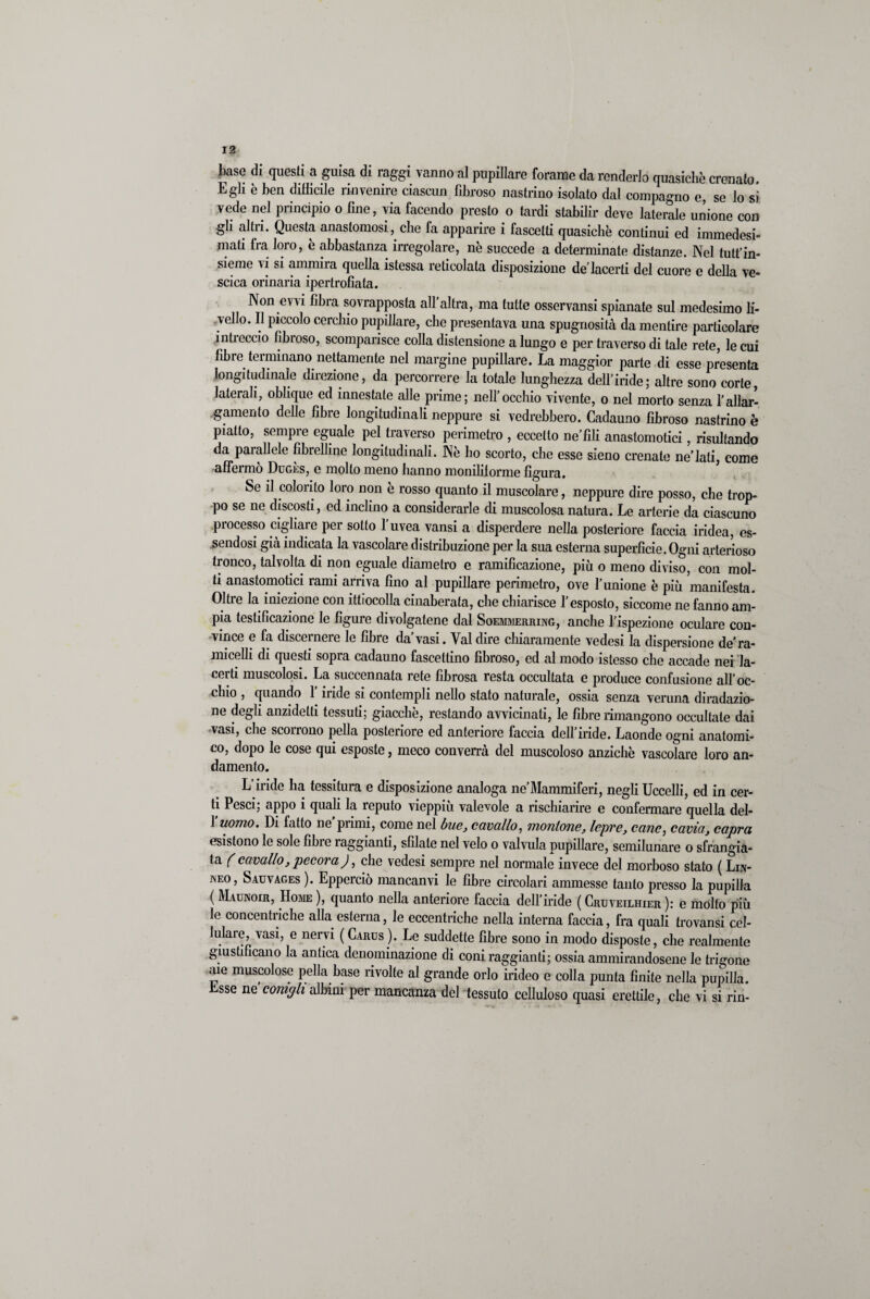 base di questi a guisa di raggi vanno al pupillare forame da renderlo quasiché crenato. Egli è ben difficile rinvenire ciascun fibroso nastrino isolato dal compagno e se lo si vede nel principio o fine, via facendo presto o tardi stabilir deve laterale unione con gli altri. Questa anastomosi, che fa apparire i fascetti quasiché continui ed immedesi¬ mali fra loro, é abbastanza irregolare, né succede a determinate distanze. Nel tutfin¬ sieme vi si ammira quella istessa reticolata disposizione de lacerti del cuore e della ve- scica orinaria ipertrofiata. Non evvi fibra sovrapposta all’altra, ma tutte osservansi spianate sul medesimo li¬ vello. Il piccolo cerchio pupillare, che presentava una spugnosità da mentire particolare inticccio fibroso, scomparisce colla distensione a lungo e per traverso di tale rete, le cui fibre terminano nettamente nel margine pupillare. La maggior parte di esse presenta longitudinale direzione, da percorrere la totale lunghezza dell’iride; altre sono corte, laterali, oblique ed innestate alle prime; nell’occhio vivente, o nel morto senza l’allar¬ gamento delle fibre longitudinali neppure si vedrebbero. Cadauno fibroso nastrino è piatto, sempre eguale pel traverso perimetro , eccello ne’fili anastomotici, risultando da parallele fibrelline longitudinali. Né ho scorto, che esse sieno crenate ne’lati, come affermo Duges, e mollo meno hanno monililorme figura. Se il colorito loro non è rosso quanto il muscolare, neppure dire posso, che trop¬ po se ne discosti, ed inclino a considerarle di muscolosa natura. Le arterie da ciascuno processo cigliare per sotto l’uvea vansi a disperdere nella posteriore faccia iridea, es¬ sendosi già indicata la vascolare distribuzione per la sua esterna superfìcie. Ogni arterioso tronco, talvolta di non eguale diametro e ramificazione, più o meno diviso, con mol¬ ti anastomotici rami arriva fino al pupillare perimetro, ove l’unione è più manifesta. Oltre la iniezione con ittiocolla cinaberata, che chiarisce l’esposto, siccome ne fanno am¬ pia testificazione le figure divolgatene dal Soemmerring, anche l’ispezione oculare con¬ vince e fa disceinere le fibre da vasi. Val dire cliiaramente vedesi la dispersione de’ra- micelli di questi sopra cadauno fasceltino fibroso, ed al modo istesso che accade nei la¬ certi muscolosi. La succennata rete fibrosa resta occultata e produce confusione all’oc¬ chio , quando l’iride si contempli nello stato naturale, ossia senza veruna diradazio- ne degli anzidetti tessuti; giacché, restando avvicinati, le fibre rimangono occultate dai vasi, che scorrono pella posteriore ed anteriore faccia dell’iride. Laonde ogni anatomi¬ co, dopo le cose qui esposte, meco converrà del muscoloso anziché vascolare loro an¬ damento. L’iride ha tessitura e disposizione analoga ne’Mammiferi, negli Uccelli, ed in cer¬ ti Pesci; appo i quali la reputo vieppiù valevole a rischiarire e confermare quella del- 1 uomo. Di fatto ne’primi, come nel bue, cavallo, montone, lepre, cane, cavia, capra esistono le sole fibre raggianti, sfilate nel velo o valvula pupillare, semilunare o sfrangia¬ ta ( cavallo, pecora), che vedesi sempre nel normale invece del morboso stato ( Lin¬ neo, Sauvages ). Epperciò mancami le fibre circolari ammesse tanto presso la pupilla ( Maunoir, Home ), quanto nella anteriore faccia dell’iride ( Cruveilhier ): e molto più le concentriche alla esterna, le eccentriche nella interna faccia, fra quali trovansi cel¬ lulare, vasi, e nervi ( Carus ). Le suddette fibre sono in modo disposte, che realmente giustificano la antica denominazione di coni raggianti; ossia ammirandosene le trigone «ue muscolose polla base rivolte al grande orlo irideo e colla punta finite nella pupilla. Esse ne conigli albini per mancanza del tessuto celluloso quasi erettile, che vi si rin-