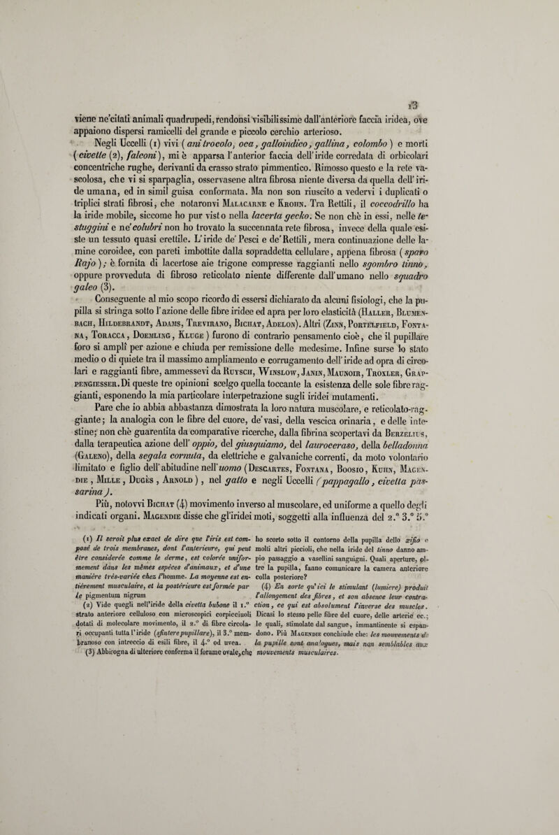 i*3 viene ne’citati animali quadrupedi, rendonsi visibilissime dall’anteriore faccia iridea, o\e appaiono dispersi ramicelli del grande e piccolo cerchio arterioso. Negli Uccelli (i) vivi ( ani Irò colo, oca, galloindico, gallina, colombo ) e morti (civette (2), falconi), mie apparsa l’anterior faccia dell’iride corredata di orbicolari concentriche rughe, derivanti da crasso strato pimmentico. Rimosso questo e la rete va¬ scolosa, che vi si sparpaglia, osservasene altra fibrosa niente diversa da quella dell’iri¬ de umana, ed in simil guisa conformata. Ma non son riuscito a vedervi i duplicati 0 triplici strati fibrosi, che notaronvi Malacarne e Kroiin. Tra Rettili, il coccodrillo ha la iride mobile, siccome ho pur visto nella lacerta gecko. Se non che in essi, nelle te¬ stuggini e nd colubri non ho trovato la succennata rete fibrosa, invece della quale esi¬ ste un tessuto quasi erettile. L’iride de Pesci e deRettili,, mera continuazione delle la¬ mine coroidee, con pareti imbottite dalla sopraddetta cellulare, appena fibrosa ( sparo Rajo ); è fornita di lacertose aie trigone compresse raggianti nello sgombro tinno, oppure provveduta di fibroso reticolato niente differente dall’umano nello squadro galeo (3). Conseguente al mio scopo ricordo di essersi dichiarato da alcuni fisiologi, che la pu¬ pilla si stringa sotto l’azione delle fibre iridee ed apra per loro elasticità (Haller, Blumen- BACH, HlLDEBRANDT, AdAMS, TrEVIRANO, BiCHAT, AdELOn). Altri (ZlNN, PoRTELFIELD, FONTA¬ NA, Toracca, Doemling, Kluge ) furono di contrario pensamento cioè, che il pupillare foro si ampli per azione e chiuda per remissione delle medesime. Infine surse lo stato medio 0 di quiete tra il massimo ampliamento e corrugamento dell’ iride ad opra di circo¬ lari e raggianti fibre, ammessevi daRuvscH, Winslow, Janin,Maunoir, Troxler, Grap- pengiesser. Di queste tre opinioni scelgo quella toccante la esistenza delle sole fibre rag¬ gianti, esponendo la mia particolare interpetrazione sugli iridei mutamenti. Pare che io abbia abbastanza dimostrata la loro natura muscolare, e reticolato-rag¬ giante; la analogia con le fibre del cuore, de’vasi, della vescica orinaria, e delle inte¬ stine; non che guarentita da comparative ricerche, dalla fibrina scopertavi da Berzelils, dalla terapeutica azione dell’ oppio, del giusquiamo, del lauroceraso, della belladonna (Galeno), della segala cornuta, da elettriche e galvaniche correnti, da moto volontario limitato e figlio dell’abitudine nell’uomo (Descartes, Fontana, Boosio, Kuhn, Magen- die , Mille , Dugès , Arnold ), nel gallo e negli Uccelli (pappagallo, civetta pas¬ sartela J. Più, notovvi Bichat (4-) movimento inverso al muscolare, ed uniforme a quello degli indicati organi. Magendie disse che gl’iridei moti, soggetti alla influenza del 2.0 3.° fi.0 (1) // seroit plus exact de dire que tiris est corti- ho scorto sotto il contorno della pupilla dello xifio e pose de trois membranes, dont l’anterieure, qui peut molti altri piccioli, che nella iride del tirino danno am¬ bire considerée cornine le derme, est colore'e unifor- pio passaggio a vasellini sanguigni. Quali aperture, ol- mement dans les mèmes espèces d’animaux, et d’une tre la pupilla, fanno comunicare la camera anteriore manière très-variée chez /’liommc. La moyenne est en- colla posteriore? tiérement musculaire, et la postérieureestformée par (4) En sorte qii ici le stimulanl (lumiere) produit le pigmentum nigrum l’allongement des Jìbres, et son absence leur contra- (2) Vide quegli nell’iride della civetta bubone il i.° clion, ce qui est absolumenl l’inverse des muscles. strato anteriore celluloso con microscopici corpicciuoli Dicasi lo stesso pelle libre del cuore, delle arterie ec.; dotati di molecolare movimento, il 2.0 di fibre circola- le quali, stimolate dal sangue, immantinente si espan¬ di occupanti tutta l’iride {sfintere pupillare), il3.°mem- dono. Più Magendie conchiude ebe: Ics mouvemenls d branoso con intreccio di esili fibre, il 4° od uvea. la pupille soni ana'ogues, mais nati semblablcs aux