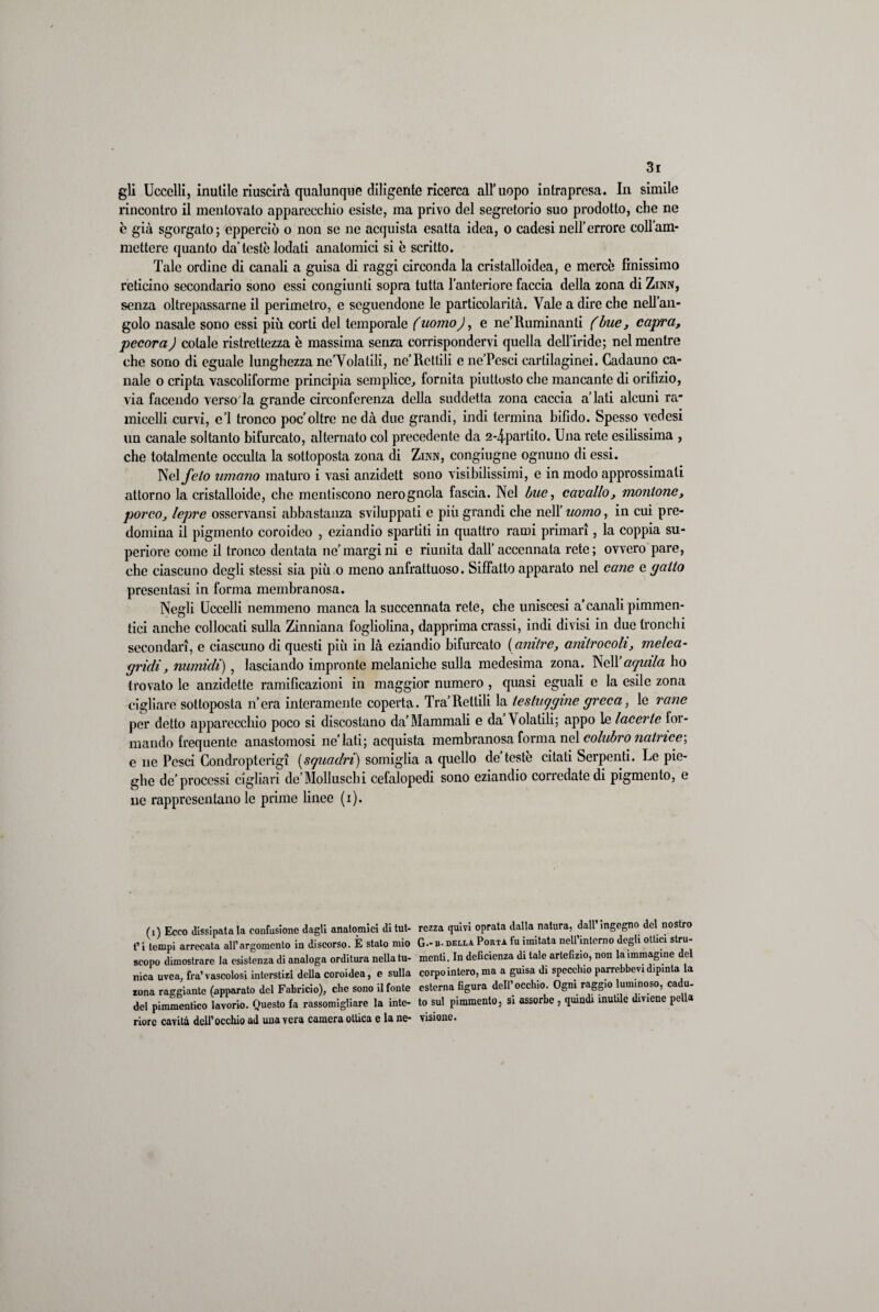 gli Uccelli, inutile riuscirà qualunque diligente ricerca all’uopo intrapresa. In simile rincontro il mentovato apparecchio esiste, ma privo del segretorio suo prodotto, che ne è già sgorgato; cpperciò o non se ne acquista esatta idea, o cadesinell’errore coll’am- mettcre quanto da’teste lodati anatomici si è scritto. Tale ordine di canali a guisa di raggi circonda la cristalloidea, e mercè finissimo reticino secondario sono essi congiunti sopra tutta l’anteriore faccia della zona di Zinn, senza oltrepassarne il perimetro, e seguendone le particolarità. Vale a dire che nell’an¬ golo nasale sono essi più corti del temporale (uomo), e ne’Ruminanti (bue, capra, pecora) colale ristrettezza è massima senza corrispondervi quella dell'iride; nel mentre che sono di eguale lunghezza neTolatili, ne’Rettili e ne’Pcsci cartilaginei. Cadauno ca¬ nale o cripta vascoliforme principia semplice, fornita piuttosto che mancante di orifizio, via facendo verso la grande circonferenza della suddetta zona caccia alati alcuni ra micchi curvi, e’1 tronco poc’oltre ne dà due grandi, indi termina bifido. Spesso vedesi un canale soltanto bifurcato, alternato col precedente da 2-4-partito. Una rete esilissima , che totalmente occulta la sottoposta zona di Zinn, congiugne ognuno di essi. Nel feto umano maturo i vasi anzidett sono visibilissimi, e in modo approssimali attorno la cristalloide, che mentiscono nerognola fascia. Nel bue, cavallo, montone, porco, lepre osservansi abbastanza sviluppati e più grandi che nell’ uomo, in cui pre¬ domina il pigmento coroideo , eziandio spartiti in quattro rami primari, la coppia su¬ periore come il tronco dentata ne’ rnargi ni e riunita dall’ accennata rete ; ovvero pare, che ciascuno degli stessi sia più o meno anfrattuoso. Siffatto apparato nel cane e gatto presentasi in forma membranosa. Negli Uccelli nemmeno manca la succennata rete, che uniscesi a’canali pimmen- tici anche collocati sulla Zinniana fogliolina, dapprima crassi, indi divisi in due tronchi secondari, e ciascuno di questi più in là eziandio bifurcato (anitre, anitrocoh, melea- gridi, numidi) , lasciando impronte melaniche sulla medesima zona. Nell aquila ho trovato le anzidette ramificazioni in maggior numero , quasi eguali e la esile zona cigliare sottoposta nera interamente coperta. Tra’Rettili la testuggine greca, le rane per detto apparecchio poco si discostano da’Mammali e da Volatili; appo le Incerte for¬ mando frequente anastomosi ne’lati; acquista membranosa forma nel colubro natrice, e ne Pesci Condropterigi (squadri) somiglia a quello de’teste citati Serpenti. Le pie¬ ghe de’processi cigliari de’Molluschi cefalopedi sono eziandio corredate di pigmento, e ne rappresentano le prime linee (i). (i) Ecco dissipatala confusione dagli anatomici ditut- t’i tempi arrecata all’argomento in discorso. E stato mio scopo dimostrare la esistenza di analoga orditura nella tu¬ nica uvea, fra’ vascolosi interstizi della coroidea, e sulla zona raggiante (apparato del Fabricio), che sono il fonte del pimmentico lavorio. Questo fa rassomigliare la inte¬ riore cavità dell'occhio ad uua vera camera ottica c la ne¬ rezza quivi oprata dalla natura, dall’ ingegno del nostro G.-b. della Porta fu imitata nell’interno degli ottici stru¬ menti. In deficienza di tale artefizio, non la immagine del corpo intero, ma a guisa di specchio parrebbevi dipinta la esterna figura dell'occhio. Ogni raggio luminoso, cadu¬ to sul pimmento, si assorbe , quindi inutile diviene peli» visione.