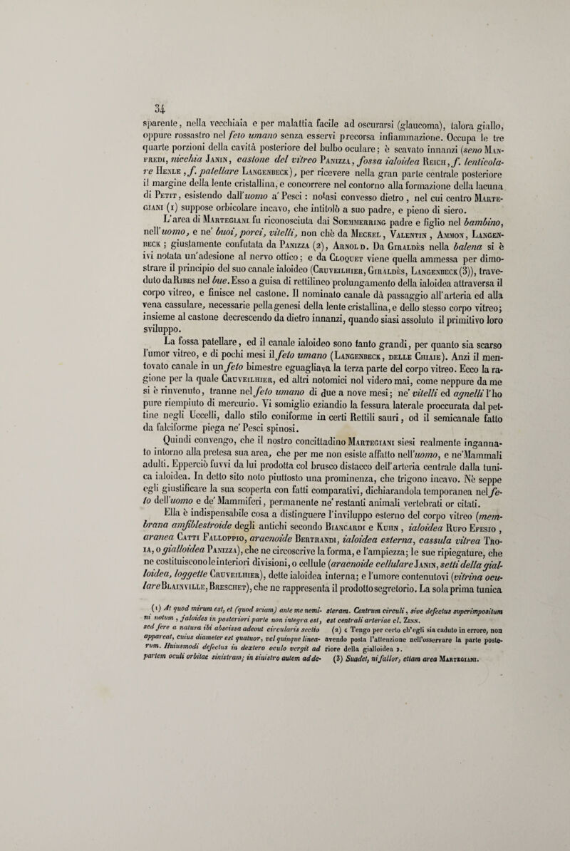 sparente, nella vecchiaia e per malattia facile ad oscurarsi (glaucoma), talora giallo, oppure rossastro nel feto umano senza esservi precorsa infiammazione. Occupa le tre quarte porzioni della cavita posteriore del bulbo oculare ; è scavato innanzi (seno Man¬ fredi, nicchia Janin, castone del vitreo Panizza , fossa ialoidea Reich , f. leniicola- ie Henle , f palei lare Langenbeck), per ricevere nella gran parte centrale posteriore il margine della lente cristallina, e concorrere nel contorno alla formazione delia lacuna di 1 etit , esistendo dall uomo a Pesci : notasi convesso dietro , nel cui centro Marte- giani (i) suppose orbicolare incavo, che intitolò a suo padre, e pieno di siero. L area di Marteglani fu riconosciuta dai Soemmerring padre e figlio nel bambino, nell uomo, e ne buoi, porci, vitelli, non che da Meckel, Valentin , Ammon, Langen- beck : giustamente conlutata da Panizza (2), Arnold. Da Giraldès nella balena si è ivi notata un adesione al nervo ottico ; e da Cloquet viene quella ammessa per dimo¬ strare il principio del suo canale ialoideo (Cruveilhier, Giraldès, Langenbeck(3)), trave¬ duto daRiBEs nel fo/e.Esso a guisa di rettilineo prolungamento della ialoidea attraversa il corpo vitreo, e finisce nel castone. Il nominalo canale dà passaggio all’arteria ed alla vena cassulare, necessarie pellagenesi della lente cristallina, e dello stesso corpo vitreo; insieme al castone decrescendo da dietro innanzi, quando siasi assoluto il primitivo loro sviluppo. La fossa patellare, ed il canale ialoideo sono tanto grandi, per quanto sia scarso lumor vitreo, e di pochi mesi il feto umano (Langenbeck, delle Ciiiaie). Anzi il men¬ tovato canale in un feto bimestre eguagliava la terza parte del corpo vitreo. Ecco la ra¬ gione per la quale Cruveilhier, ed altri notomici noi videro mai, come neppure da me si è rinvenuto, tranne nel feto umano di fiue a nove mesi; ne’ vitelli ed agnelli l’ho pure riempiuto di mercurio. Vi somiglio eziandio la fessura laterale proccurata dal pet¬ tine negli Eccelli, dallo stilo coniforme in certi Rettili sauri, od il semicanale fatto da falciforme piega ne’Pesci spinosi. Quindi convengo, che il nostro concittadino Marteglani siesi realmente inganna¬ to intorno alla pretesa sua area, che per me non esiste affatto nell 'uomo, e ne’Mammali adulti. Eppcrciò fuvvi da lui prodotta col brusco distacco dell’arteria centrale dalla tuni¬ ca ialoidea. In detto sito noto piuttosto una prominenza, che trigono incavo. Nè seppe egli giustificare la sua scoperta con fatti comparativi, dichiarandola temporanea nel fe¬ to del\uomo e de Mammiferi, permanente ne’restanti animali vertebrati or citati. Ella c indispensabile cosa a distinguere l’inviluppo esterno del corpo vitreo {mem¬ brana amfblestroide degli antichi secondo Biancardi e Kuhn , ialoidea Rufo Efesio , aranea Catti I alloppio, aracnoide Bertrandi, ialoidea esterna, cassula vitrea Tro¬ ia, 0gialloidea Panizza), che ne circoscrive la forma, e l’ampiezza; le sue ripiegature, che ne costituiscono le interiori divisioni, o cellule {aracnoide cellulare Janin, setti della gial- loidea, loggetle Cruveilhier), dette ialoidea interna; e l’umore contenutovi {vilrina ocu- larefthkm ville, Bresciiet), che ne rappresenta il prodotto segretorio. La sola prima tunica (1 ) (lu0(l mirum est, et (/itoci seiam) ante me nemi- ster am. Centrum circuii, sire defeclus superimpositum ni notum , jaloides in posteriori parte non integra est, est centrali arteriae cl. Zinn. sed fere a natura ibi absctssa adeout ctrcularis seciio (2) 1 Tengo per certo ch’egli sia caduto in errore, non appareat, cuius diameter est quatuor, vel quinque linea- avendo posta l’attenzione nell’osservare la parte poste- rvm. Iluiusmodi defeclus in dextero oculo vergit ad riore della gialloidea j. parlem acuii orbilae sinistrata,- in sinistro autem ad de- (3) Suadet, ni fallar, etiam area Mariegiani.