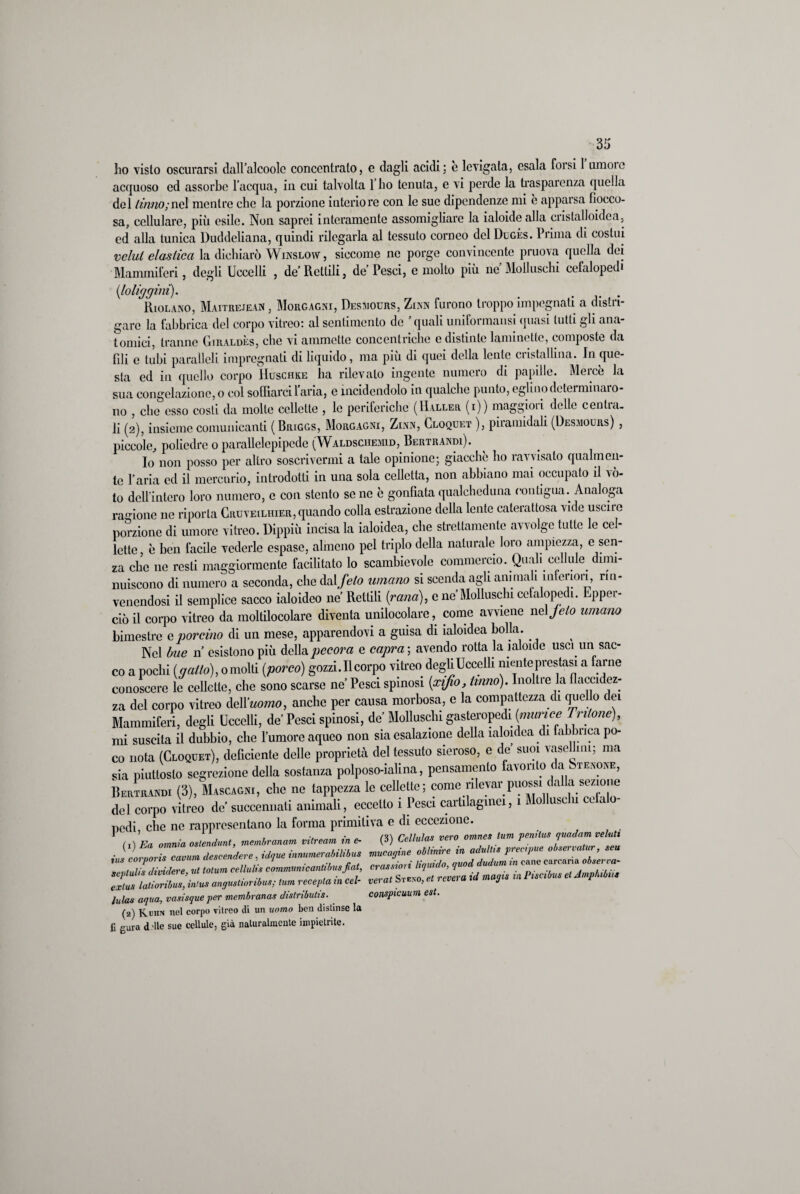 ho visto oscurarsi dall’alcoolc concentrato, e dagli acidi: e levigala, esala forsi 1 umoic acquoso ed assorbe l’acqua, in cui talvolta 1 ho tenuta, e vi perde la trasparenza quella del tirino ; nel mentre che la porzione intcriore con le sue dipendenze mi è apparsa fiocco¬ sa, cellulare, più esile. Non saprei interamente assomigliare la ialoidealla cristalloidea. ed alla tunica Duddcliana, quindi rilegarla al tessuto corneo del Dugés. Prima di costui velut elastica la dichiarò Winsloyv , siccome ne porge convincente pruova quella dei Mammiferi, degli Uccelli , de’Rettili, de Pesci, e molto più ne Molluschi cefalopedi {loliggini). _ ... Riolano, Maitrejean , Morgagni, Desmours, Zinn furono troppo impegnati a distri¬ gare la fabbrica del corpo vitreo: al sentimento de ’ quali uniformansi quasi lutti gli ana¬ tomici, tranne Giraldès, che vi ammette concentriche c distinte laminetle, composte da fili e tubi paralleli impregnati di liquido, ma più di quei della lente cristallina. Jn que¬ sta ed in quello corpo Ììuschke ha rilevato ingente numero di papille. Mercè la sua congelazione, o col soffiarci l’aria, c incidendolo in qualche punto, eglino determinaro¬ no , che esso costi da molte cellette , le periferiche (IIaller (i)) maggioii delle centia- li (2), insieme comunicanti ( Briggs, Morgagni, Zinn, Cloquet ), piramidali (Desmours) , piccole, poliedre o parallelepipede (Waldsciiemid, Bertrandi). Io non posso per altro soscrivermi a tale opinione; giacche ho ravvisato qualmen¬ te l’aria ed il mercurio, introdotti in una sola celletta, non abbiano mai occupato il vó¬ to dell'intero loro numero, e con stento se ne c gonfiata qualcheduna contigua. Analoga ragione no riporta Cruveiliiier, quando colla estrazione della lente caterattosa vide uscire porzione di umore vitreo. Dippiù incisa la ialoidea, che strettamente avvolge tutte le cel¬ lette è ben facile vederle espuse, almeno pel triplo della naturale loro ampiezza, e sen¬ za che ne resti maggiormente facilitato lo scambievole commercio. Quah cellule^ dimi¬ nuiscono di numero a seconda, che dal feto umano si scenda agli ammali inferiori, rin¬ venendosi il semplice sacco ialoideo ne Rettili (rana), e ne’Molluschi cefalopedi. Epper- ciòil corpo vitreo da moltilocolare diventa unilocolare, come avviene nel jelo umano bimestre c porcino di un mese, apparendovi a guisa di ialoidea bolla. Nel bue n esistono più della pecora e capra ; avendo rotta la ialoide usci un sac¬ co a pochi {gatto), o molti {porco) gozzi. Il corpo vitreo degli Uccelli mente prestasi a farne conoscere le cellette, che sono scarse ne Pesci spinosi {xifio. Unno). Inoltre la flaccidez¬ za del corpo vitreo MYuomo, anche per causa morbosa, e la compattezza di qnello dei Mammiferi, degli Uccelli, de’Pesci spinosi, de Molluschi gasteropedi {murice Tritone), mi suscita il dubbio, clic l’umore aqueo non sia esalazione della ialoidea di fabbrica po¬ co nota (Cloquet), deficiente delle proprietà del tessuto sieroso, e de suoi vaseffim; ma sia piuttosto segrezione della sostanza polposo-ialina, pensamento favorito da Stenone, Bertrandi (3), Mascagni, che ne tappezza le cellette; come rilevar puossi dalla sezione del corpo vitreo de succennati animali, eccetto ì Pesci cartilaginei, ì Molluschi cefalo redi che ne rappresentano la forma primitiva e di eccezione. (,)Ea omnia.,leM, membramm .Urea,a ine- (3) Cellulas vara ama,, lum penila, juadam velati ii, canori, camm decader,, iJqaeiaauauraUUbus murarne ablinire in adulti, prec,pii, aire,calar, ,eu ,er,uli, dividere, m M» comma,,eautitm/af, eraeemri d,'TpmZ‘ti Jmphibìti exlus lalioribus, inius angustionbus; tum recepla m cel- vei at Steno, tt reve a y lulas aqua, vasisque per membranas distributis. conspicuum est. (2) Kuhn nel corpo vitreo di un uomo ben distinse la fi gura d die sue cellule, già naturalmente impietrite.