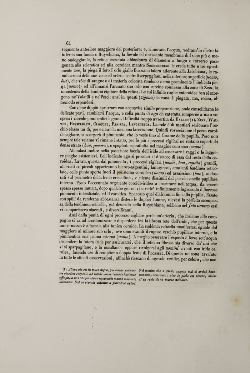 64- segmento anteriore maggiore del posteriore; e, rinnovata l’acqua, vedrans’in dietro la interna sua faccia o Ruyschiana, la fievole ed incostante membrana di Jacob più o me¬ no ondeggiante, la retina cresciuta abbastanza di diametro a lungo e traverso para¬ gonata alla sclerotica ed alla coroidea mentre Soemmerring le crede tutte e tre egual¬ mente tese, la piega il foro l’orlo giallo Buzziano talora aderente alla Jacobiana, le ra¬ mificazioni delle sue vene ed arterie centrali serpeggianti nella interiore superficie [uomo, bue), che vote di sangue o di materia colorata rendono meno prominente T indicata pie¬ ga [uomo); ed all’innanzi l’arcuato suo orlo con cercine connesso alla zona di Zwn, la inesistenza della lamina cigliare della retina. Le cui infinite rughe enteroidee ben si scor¬ gono ne’Volatili e ne’Pesci: anzi in questi (zigena) la zona è piegata; ma, recisa, ol¬ tremodo espandesi. Conviene dippiù spruzzare con acquavite simile preparazione, onde consolidarne le delicate parti, cambiarvi l’acqua, e colla punta di ago da cateratta romperne a man so¬ spesa i vascolo-pimmentici legami. Difficoltà troppo avvertita da Haller (i), Zinn, Wal¬ ter, Hesselbach, Cloquet, Panizza, Langenbeck. Laonde è di mestieri sezionare l’oc¬ chio classo un dì, per evitare la menoma lacerazione. Quindi rovesciatone il pezzo coroi- de-cigliare, si scorgerà il pimmento, che lo veste fino al forame della pupilla. Però non sempre tale velame vi rimane intatto, per lo più i processi cigliari ne restano coperti da denso strato (bue,pecora), o spogliati soprattutto nel margine convesso (uomo). Attendasi inoltre nella posteriore faccia dell’iride ad osservare i raggi o le leggie¬ re pieghe csislentevi. Coll indicato ago si proccuri il distacco di essa dal resto della co¬ roidea. Lavata questa dal pimmento, i processi cigliari (uomo, bue, aquila) grandi, alternati co’piccoli appariranno bianco-argentini, lanuginosi, emulanti tendineo retico¬ lato, colle punte sporte fuori il perislomo coroideo (uomo) ed assaissimo (bue), addos¬ sati sul perimetro della lente cnstallina , e niente dissimili dal piccolo anello pupillare interno. Posto l’accennato segmento coroide-irideo a macerare nell’acqua, da essere spesso spesso mutala, dopo qualche giorno vi si vedrà infinitamente ingrossato il fioccoso pimmento interstiziale, ed il coroideo. Spaccato quel diaframma fino alla pupilla, fissato con spilli da renderne abbastanza distese le duplici lamine, rilevasi la perfetta scompar¬ sa della tendinosa-reticella, già descritta nella Ruyschiana; sebbene nel feto umano essi vi comparissero staccati, e diversificanti. Anzi dalla punta di ogni processo cigliare parte un’arteria, che insieme alle com¬ pagne si va ad anaslomizzare e disperdere fra la fibrosa rete dell’iride, che per questo unico mezzo è attaccata alla tunica coroide. La suddetta reticella manifestasi eguale dal maggiore al minore suo orlo , ove sono svaniti il rugoso cerchio pupillare interno, e la pimmentica sua patina esterna (uomo). A meglio osservare l’esposto è forza sott’acqua distendere la intera iride per assicurarsi, che il reticino fibroso sia diverso da’vasi che vi si sparpagliano, e lo occultano : oppure rivolgersi agli uomini viventi con iride ce¬ rulea, facendo uso di semplice o doppia lente di Ploessel. Di questa mi sono avvaluto in tutte le attuali ossservazioni, affinchè riescano di agevole verifica per coloro, che non (1) Altera vis est in muco nigro, qui lineas eminen- Nel mentre che a questo oggetto mal si avvisò Soem- tes eiusdem carpone ad sulcos zonae ciliaris hactenus meiuuhg, scrivendo : plus le globe est récent, moine ejjingil, ut non absquealiquo separanti manus momento il en reste de ce mucus noiràlre. discedant. Sed ea rincula vldentur a putredine deieri.