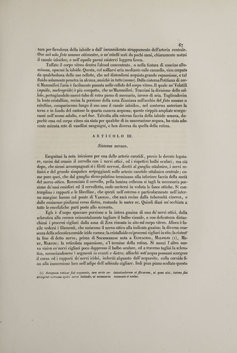 tura per fievolezza della ialoide o dall’ inconsiderato strappamento dell’arteria centrale. Ove nel solo feto umano oltimestre, o ne vitelli nati da pochi mesi, chiaramente notasi il canale ialoideo; e nell’aquila panni esistervi leggera fovea. Tuffato il corpo vitreo dentro l’alcool concentralo, o nella tintura di concino allu¬ minosa, opacasi la ialoide. Questa, col soffiarvi aria mediante esile cannello, vien crepata da qualcheduna delle sue cellette, che nel distendersi acquista grande espansione, e tal fluido solamente penetra in alcuna, anziché in tutte(Mozno). Dalla cisternaPetitiana di cer¬ ti Mammiferi l’aria è facilmente passata nelle cedole del corpo vitreo. Il quale ne’Volatili (aquila, meleagride) è più compatto, che ne’Mammiferi. Tracciasi la divisione delle cel- lolc, pertugiandolo mercè tubo di vetro pieno di mercurio, invece di aria. Togliendovisi la lente cristallina, recisa la porzione della zona Zinniana nell’occhio del feto umano o vitellino, compariscono lungo il suo asse il canale ialoideo, nel contorno anteriore la terza e in fondo del castone la quarta camera acquosa; queste vieppiù ampliate scorge- ransi nell’«omo adulto, e nel bue. Talvolta alla esterna faccia della ialoide umana, do¬ poché essa col corpo vitreo sia stata per qualche dì in macerazione acquea, ho visto ade¬ rente minuta rete di vasellini sanguigni, e ben diversa da quella della retina. ARTICOLO III. Sistema ?ierveo. Eseguitasi la nota iniezione per una delle arterie carotidi, previe le dovute legatu¬ re, cavisi dal cranio il cervello con i nervi ottici, ed i rispettivi bulbi oculari; ma ciò dopo, che siensi accompagnati sii filetti nervosi, diretti al ganglio oftalmico, i nervi re¬ tinici e del grande simpatico serpeggianti sulle arterie carotide otlalmica centrale ; co¬ me pure quei, che dal ganglio sfeno-palatino terminano alla inferiore faccia della metà del nervo ottico. Rovesciato il cervello, pella lamina cribrosa si tagli la necessaria por¬ zione de’suoi emisferi ed il cervelletto, onde mettersi in veduta le fasce ottiche. Si con¬ templino i rapporti e le fibrelline, che questi nell’esterno e particolarmente nell’inter¬ no margine hanno col ponte di Varolio, che sarà reciso dalla tuberosità cinerea, e dalle eminenze pisiformi verso dietro, restando le nates ec. Quindi diasi un’occhiata a tutte le encefaliche parti poste allo scoverto. Egli è d’uopo spaccare porzione o la intera guaina di uno de’nervi ottici, dalla sclerotica alla cornea orizzontalmente tagliare il bulbo visuale, e con delicatezza distac¬ chimi i processi cigliali dalla zona di Zinn rimasta in sito sul corpo vitreo. Allora è fa¬ cile vedersi i filamenti, che uniscono il nervo ottico alla indicata guaina; la diversa cras¬ sezza della sclerotica coroide iride cornea; la cristalloide co’processi cigliari insito; la ristret' ta fine di detto nervo, prima di Soemmerring nota a Eustachio, Malpighi (i), Me¬ ra, Martini; la reticolata espansione, e’1 termine della retina. Si mozzi l’altro ner¬ vo visivo co’nervi cigliari poco dappresso il bulbo oculare, ed a traverso taglisi la sclero¬ tica, rovesciandosene i segmenti in avanti e dietro; affinchè sott’acqua possatisi scorgere il corso ed i rapporti de’nervi iridei, induriti alquanto dall’acquavite, colla coroide fi¬ no alla immersione loro nell’adipe dell’orbicolo cigliare. Indi pian piano scollato questo (i) Antequam relinae fiat expansio, lam arde co- intestinulorum et filtrarum, si quae siiti, intima fiat stringi tur ex trema optici nervi latititelo, ut necessario connexio et nodus.