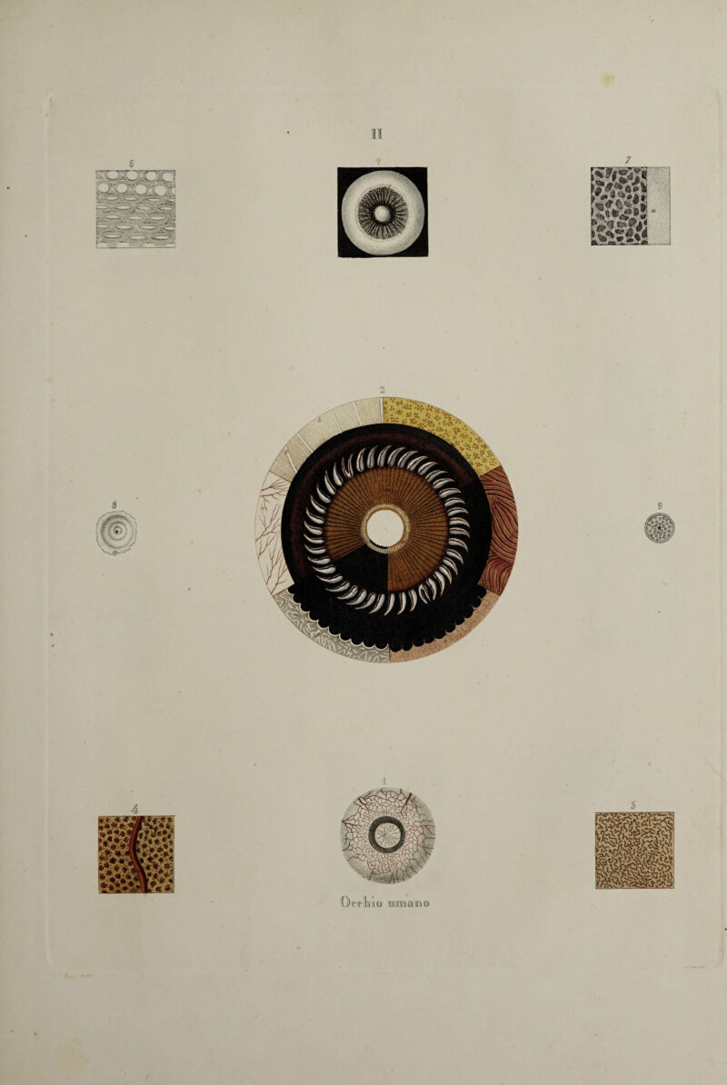 Il ©trini© ©maini©