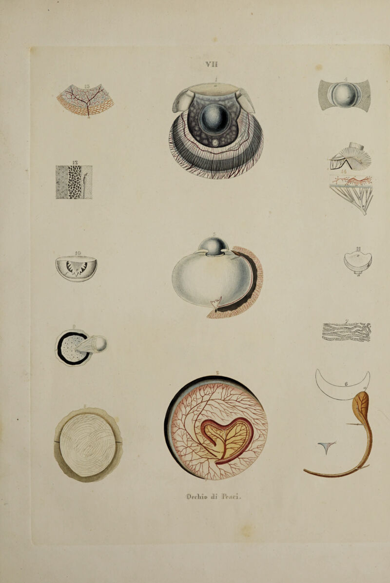 Deli it> ri i IV ri ri.