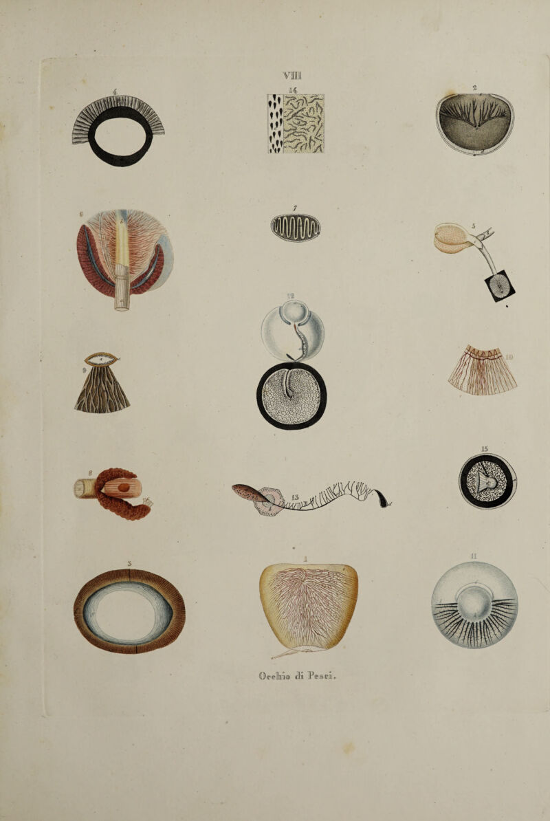 % ll-c 3HH .V ©celai© idi Ideaci.