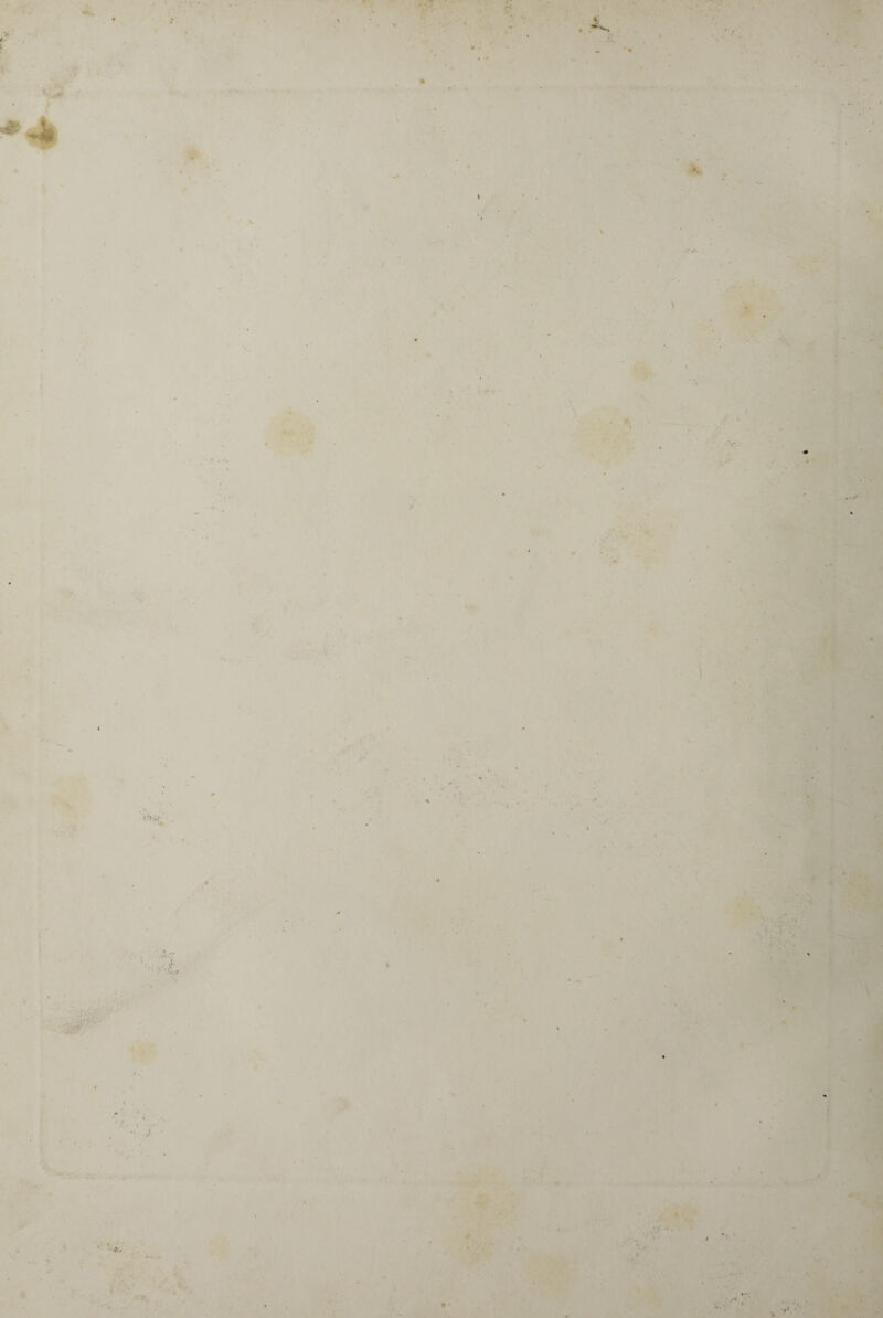 7 » v . >. » ‘ i » . -*■ v V v v. • 5 4