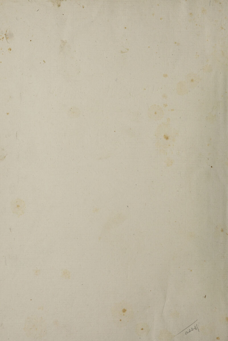 » . ' . <- V >> ' i \ _ . . ?. I ' ’ ♦ '&*• >- ' / t * • w ■ A. ■ ah » *• . • . ' ) ‘ ' ’ . ' * . ' , f* ■ . . . *• > ' • ' ■ • •• fj <£ È * % . . * ' - •*! • . • ■ . ' ✓ ” / KP ~\ /<r ■ * ii