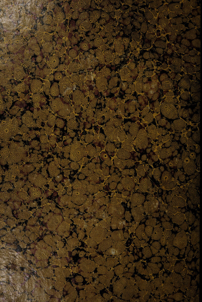 ém$0. TjrmqxA wjjmfi ^pS H’*Fi •/?>,KS tg&rgsm *•. ^«£5a»^!jéjS, ^■0Pì$$kÌ‘ kmm Wm M &*£2;.$xs Épl Hfp» n»lfl$ wcr'&iVU* « «1 ^•b.S:?rfè7.r:iss$! f'fW0Ì i&mm 'Mk&M wm '■^vSMsl; wmi Y:A *:-$i m$0k Éafes Ss»JK??S®5* fc^s|t 5fijK;vi4w3Si fe$É Ira* >v‘ 1>?-*W* . i^vl gtejkJ s,]M^