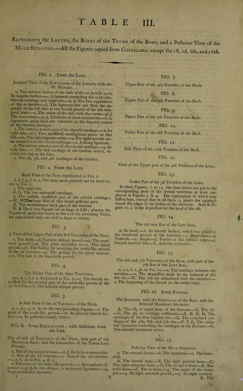 Represents^the Larynx, the Bones of the Trunk of the Body, and a Pofterior View of the Male Skeleton.—All the Figures copied from Cheselden, except the i ft, 2d, 6th, and 16th. FIG. 1. From the Life. Antciior View of the Cartilages of the Larynx, with the Os Hyoides. ai The anterior furface of the bafe of the os hyoides i—b. Its fuperior furface,—c, A ligament conne&ing the os hyoides* thyroid cartilage, and epiglottis.-/ / The two appendices .pt the os hyoides.—?, The ligament fent out from the ap¬ pendix of the left fide, to the ftylcid procefs of the left tem¬ poral bone.—e, The union of the bafe with the cornu.—/;/, The two cornua.—g, g, Tubercles at their extremities._h, h, Ligaments going from the tubercles to the fuperior cornua of the thyroid cartilage. i. The anterior middle part of the thyroid cartilage •_k, Its right fide. /, /, Two unoffified cartilaginous pieces on that fide. 77?, f he lignt fuperior cornu.—77, The right inferior cor¬ nu connecLed to the cricoid cartilage.—0, A firong ligament. p, The nairow anterior part of the cricoid cartilage;_7, Its right fide.—r, The firft cartilage of the trachea arteria,’ di¬ vided into two at the fides. s, The 2d, 3d, and 4th cartilages of the trachea. FIG. 2. From the Life. Back View of the Parts reprefented in Fig. i. g, h m> n, The fame parts pointed out by thefe let¬ ters in Fig. i. t, The epiglottis. G, G, The two arytenoid cartilages. Fhe middle unoffified part of the cricoid cartilage ; —W, Virile bony fides of that broad pofterior part. X, The membranous back-part of the trachea. N. B Thefe two Figures are as large as Life; whereas the Figures of particular bones in this and the preceding Table, are reprefented only one half as large as nature. FIG. 3. % A View of the Upper Part of the firft Vertebra of the Neck. a. The body.—A, Superior oblique procefs.—c, The tranf- verle procefs.—/ The plate extended to—*, The fpinal procefs.--/, The hollow for receiving the tooth-like procefs of the 2d vertebra.—g, The paflage for the fpinal marrow. —h, The hole in the tranfverfe procefs. FIG. 4. j. ne Under Part of the fame Vertebra. apc'> e,fg' Explained in Fig. 3.—i. The fmooth de¬ preffion foi the anterior part of the tooth-like procefs of the 2d veitebia.—k, ihe inferior oblique procefs, FIG. 5. A Side View of the 2d Vertebra of the Neck. a, c, d, e, g, h, As in the two preceding Figures.—/, The point ol the tooth-like procefs.—m, Its anterior fmooth fur¬ face.—77, Its pofterior fmooth furface. FIG. 6. From Eustachius ; with Additions from the Life. ct The 1 ft and 2d Vertebra of the Neck, with part of the Occipital Bone, and the Ligaments of the Tooth-Like Process. a, Part of the occipital bone;—b, b, Its broken extremities. 1. Part of the ill vertebra.—2. Part of the 2d vertebra. —c, e, b, As in Fig. 4. & 5. 72, The point of the tooth-like procefs;—0, Its tranfverfe li¬ gament ; p, p, Its two oblique, or moderator ligaments;—7, Its perpendicular ligament. FIG. 7. Upper Part of the 4th Vertebra of the Neck. FIG. 8. Upper Part of the 7th Vertebra of the Neck. ■ '. C:. - / . K v r; FIG. 9. Upper Part of the 7th Vertebra of the Back. FIG. 10. Under Part of the 6th Vertebra of the Back. FIG. 11. Side View of the 12th Vertebra of the Back. FIG. 12. View of the Upper part of the 4th Vertebra of the Loins. FIG. 13. Under Part of the 3d Vertebra of the Loins. In thefe Figures, 7. to 13. the fame letters are put to the correfponding parts of the feveral vertebrae, as were em¬ ployed in Figures 3. & 4. The explanation of which may fuffice here, except that in all theie, r, points the epiphyfe round the edges of the bodies of the vertebrae. And ill Fi¬ gure 10. t, is the depreffion for the head of the rib. FIG. 14. The 7th true Rib of the Left Side. a, Its head;—b, Its fmooth furface, which was joined to the tranfverfe procefs of the vertebra.—c, Depreffion._/ Tubercle.—•*, Angle.—/, Furrow at the inferior edge.—-g. Smooth internal fide.—h, Anterior extremity. 1 ■“ FIG. 15. The 6th and 7th Vertebra of the Back, with part of the 7th Rib of the Left Side. a, c, e, k, t, As in Fig. ii.—72, The cartilage between the vertebrae.—v, The depreffion made by the tubercle of the 6th rib.—W, The 7th rib articulated with the vertebra.— x, The beginning of the furrow on the under edge. FIG. 16. From Ruysch. % % The Sternum, with the Cartilage of the Ribs, and the Internal Mammary Arteries. A, The ift, or upper bone of the fternum.—B, The 2d. —C, The 3d, or cartilago enfiformis.—D, D, D, D, The cartilages ot the four fuperior ribs.—E, The conjoined car¬ tilages of the 5th, 6th, and 7th ribs.—F, F, F, The radia¬ ted ligaments connefling the cartilages to the fternum.—G, The internal mammary artery. FIG. 17. Pofterior View of the Male Skeleton. a, The coronal future.—b, The fquamous.—0, The lamb- doid. A, The frontal bone.—B, The right parietal bone._C, The right temporal bone—D, The occipital bone.—E, The nafal bone.—F, The os make.—3. The angle of the lower jaw ;—4. Its right coronoid procefs;—5. Its right condyle. K, The