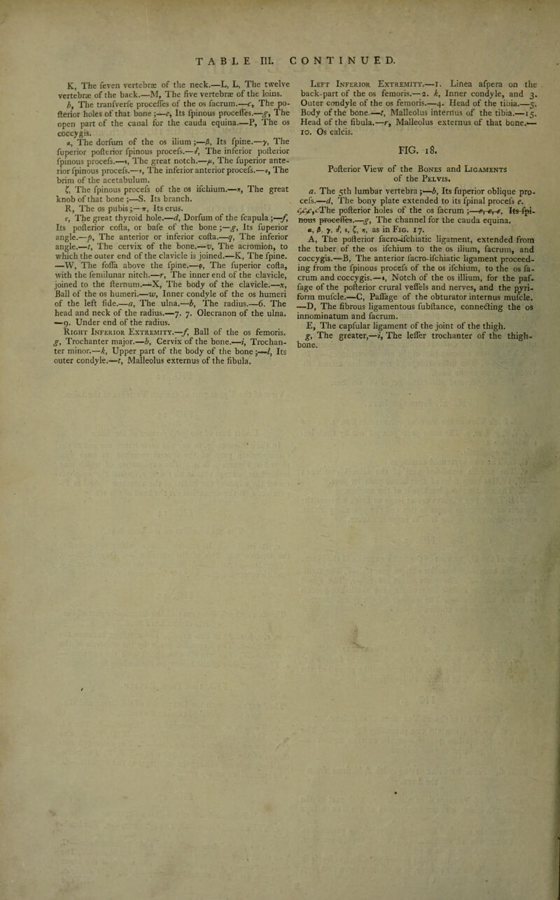 K, The feven vertebrae of the neck.—L, L, The twelve vertebra of the back.—M, The five vertebra of the loins. by The tranfverfe procefles of the os facrum.—r, The po¬ fterior holes of that bone ;—<?, Its fpinous procefles.—g, The open part of the canal for the cauda equina.—P, The os coccygis. a, The dorfum of the os ilium;—/$, Its fpine.—y, The fuperior pofferior fpinous procefs.— /, The inferior pofterior fpinous procefs.—f, The great notch.—p, The fuperior ante¬ rior fpinous procefs.—r, The inferior anterior procefs.—e, The brim of the acetabulum. C, The fpinous procefs of the os ifchium.—The great knob of that bone ;—S. Its branch. R, The os pubis; —Its crus. r, The great thyroid hole.—d, Dorfum of the fcapula Its pofterior cofta, or bafe of the bone ;—g, Its fuperior angle.—p, The anterior or inferior cofta.—q, The inferior angle.—t, The cervix of the bone.—v> The acromion, to which the outer end of the clavicle is joined.—K, The fpine. —W, The fofla above the fpine.—<p, The fuperior cofta, with the femilunar nitch.—r, The inner end of the clavicle, joined to the fternum.—X, The body of the clavicle.—x. Ball of the os humeri.—w. Inner condyle of the os humeri of the left fide.—a, The ulna.—b, The radius.—6. The head and neck of the radius.—7. 7. Olecranon of the ulna. —9. Under end of the radius. Right Inferior Extremity.—/, Ball of the os femoris. g, Trochanter major.—h, Cervix of the bone.—i, Trochan¬ ter minor.—k, Upper part of the body of the boneIts outer condyle.—t, Malleolus externus of the fibula. Left Inferior Extremity.—r. Linea afpera on the back-part of the os femoris.— 2. k, Inner condyle, and 3. Outer condyle of the os femoris.—4. Head of the tibia.—5. Body of the bone.—/, Malleolus internus of the tibia.—15. Head of the fibula.—r, Malleolus externus of that bone.— 10. Os calcis. FIG. 18. Pofterior View of the Bones and Ligaments of the Pelvis. a. The 5th lumbar vertebra ;—b, Its fuperior oblique pro¬ cefs.—d. The bony plate extended to its fpinal procefs e. ^yr,cThe pofterior holes of the os facrum ;—H Its fpi- notts procefifes.—g, The channel for the cauda equina. «, y■ C, f1, as in Fig. 17. A, The pofterior facro-ifchiatic ligament, extended from the tuber of the os ifchium to the os ilium, facrum, and coccygis.—B, The anterior facro-ifchiatic ligament proceed¬ ing from the fpinous procefs of the os ifchium, to the os fa¬ crum and coccygis.—*, Notch of the os illium, for the paf- fage of the pofterior crural veflels and nerves, and the piri¬ form mul'cle.—C, Pafiage of the obturator internus mufcle. —D, The fibrous ligamentous fubftance, conne&ing the os innominatum and facrum. E, The capfular ligament of the joint of the thigh. g, The greater,—i. The Idler trochanter of the thigh¬ bone.