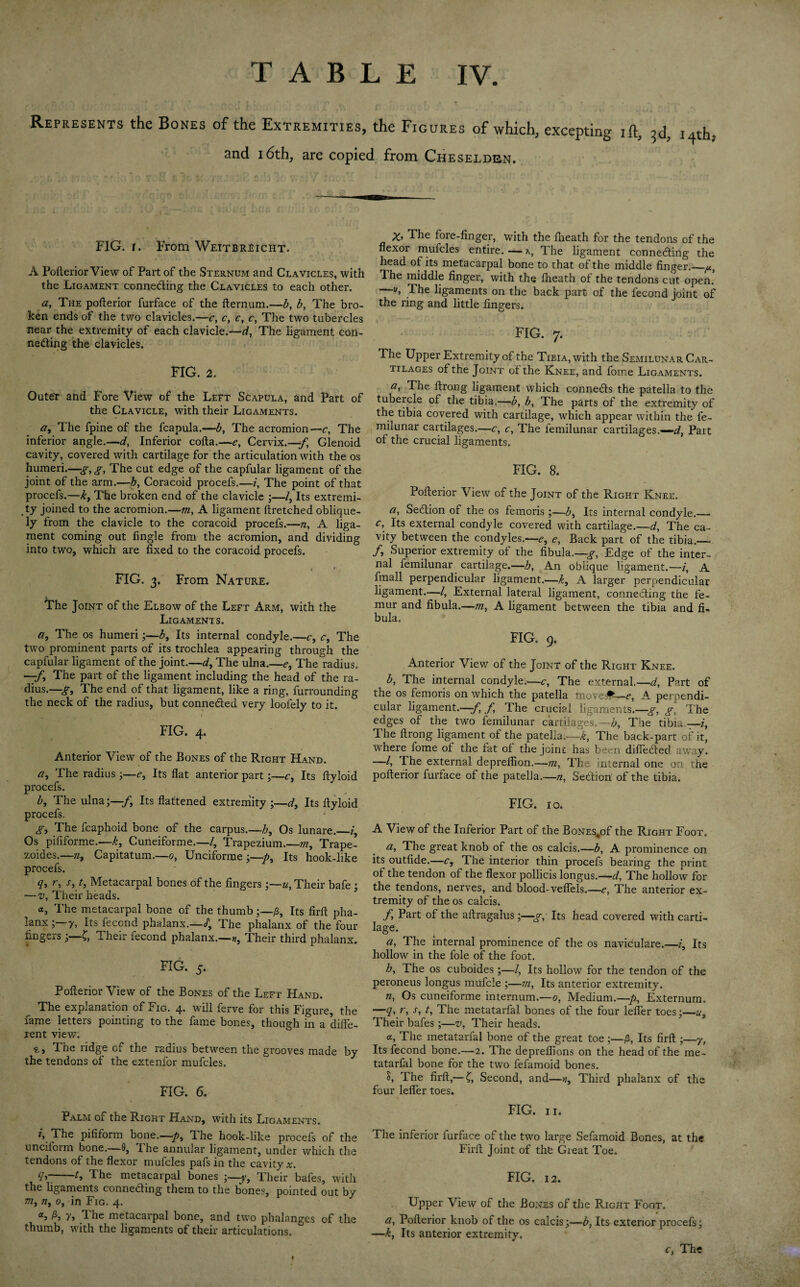 Represents the Bones of the Extremities, the Figures of which, excepting ift, I4th. and 16th, are copied from Cheseldrn. FIG. r. From Weitbreicht. A Pofterior View of Part of the Sternum and Clavicles, with the Ligament conne&ing the Clavicles to each other. a, The pofterior furface of the fternum.—b, b, The bro¬ ken ends of the two clavicles.—c, c, c, c, The two tubercles near the extremity of each clavicle.—d, The ligament con¬ necting the clavicles. FIG. 2. Outer and Fore View of the Left Scapula, and Part of the Clavicle, with their Ligaments. a, The fpine of the fcapula.—b, The acromion— c, The inferior angle.—d, Inferior cofta.—e. Cervix.—/ Glenoid cavity, covered with cartilage for the articulation with the os humeri.—g, g, The cut edge of the capfular ligament of the joint of the arm.—h, Coracoid procefs.-—2', The point of that procefs.—k, The broken end of the clavicle ;—/, Its extremi¬ ty joined to the acromion.—m, A ligament ftretched oblique¬ ly from the clavicle to the coracoid procefs.—n, A liga¬ ment coming out Angle from the acromion, and dividing into two, which are fixed to the coracoid procefs. 1 * f FIG. 3. From Nature. The Joint of the Elbow of the Left Arm, with the Ligaments. a, The os humeri;—b, Its internal condyle.—c, <r, The two prominent parts of its trochlea appearing through the capfular ligament of the joint.—d, The ulna.—e, The radius. ■—/, The part of the ligament including the head of the ra¬ dius.—g. The end of that ligament, like a ring, furrounding the neck of the radius, but connected very loofely to it. FIG. 4. Anterior View of the Bones of the Right Hand. 27, The radius 3—e, Its flat anterior part;—c, Its ftyloid procefs. b, The ulna;—/. Its flattened extremity ;—d. Its ftyloid procefs. g, The fcaphoid bone of the carpus.—h, Os lunare._i. Os pififorme.—k, Cuneiforme.—/, Trapezium.—772, Trape- zoides.—n, Capitatum.—0, Unciforme ;—py Its hook-like procefs. q, r? s, t. Metacarpal bones of the fingers;—u, Their bafe ; —v, Their heads. a. The metacarpal bone of the thumb;—£, Its firft pha¬ lanx ;—7, Its fecond phalanx.—/. The phalanx of the four iingeiS; C, Their iecond phalanx.—>7, Their third phalanx. FIG. 5. Pofterior View of the Bones of the Left Hand. The explanation of Fig. 4. will ferve for this Figure, the fame letters pointing to the fame bones, though in a diffe¬ rent view. The ridge of the radius between the grooves made by the tendons of the extenfor mufcles. FIG. 6. Palm of the Right Hand, with its Ligaments. The pifitorm bone.—py The hook-like procefs of the unciform bone.—0, The annular ligament, under which the tendons of the flexor mufcles pafs in the cavity x. 9>~ —G rhe metacarpal bones ;—y, Their bafes, with the ligaments connecting them to the bones, pointed out by ?72,22, 0, in Fig. 4. «, P>, y, The metacarpal bone, and two phalanges of the thumb, with the ligaments of their articulations. X> The fore-finger, with the flieath for the tendons of the flexor mufcles entire. — The ligament connecting the head of its metacarpal bone to that of the middle finger._p, The middle finger, with the fheath of the tendons cut open. —1», The ligaments on the back part of the fecond joint of the ring and little fingers. FIG. 7. The Upper Extremity of the Tibia, with the Semilunar Car¬ tilages of the Joint of the Knee, and fome Ligaments. 27, The ftrong ligament which connects the patella to the tubercle of the tibia.—b, b, The parts of the extremity of the tibia covered with cartilage, which appear within the fe- milunar cartilages.—c, c, The femilunar cartilages.—/ Part of the crucial ligaments. FIG. 8. Pofterior View of the Joint of the Right Knee. a, SeClion of the os femoris ;—b, Its internal condyle.— c\ Its external condyle covered with cartilage.—d, The ca¬ vity between the condyles.'—e, e, Back part of the tibia.—- /, Superior extremity of the fibula.—^, Edge of the inter¬ nal femilunar cartilage.—b, An oblique ligament.—i, A fmall perpendicular ligament.—/ A larger perpendicular ligament.—/, External lateral ligament, connecting the fe¬ mur and fibula.—-m, A ligament between the tibia and fi¬ bula. FIG. 9. Anterior View of the Joint of the Right Knee. b, The internal condyle.—c, The external.—d, Part of the os femoris on which the patella moves*—e, A perpendi¬ cular ligament.—-f,f The crucial ligaments.—g, g, The edges of the two femilunar cartilages.—/ The tibia.— i, 1 he ftrong ligament of the patella.—/ The back-part of it, where fome of the fat ol the joint has been difleCted. away. —/, The external deprellion.—m, The nternal one on the pofterior lurface of the patella.—n, Section of the tibia. FIG. 10. A View of the Inferior Part of the BoNES„of the Right Foot. a, The great knob of the os calcis.—b, A prominence on its outfide.—c. The interior thin procefs bearing the print of the tendon of the flexor pollicis longus.—d, The hollow for the tendons, nerves, and blood-veflels.—e, The anterior ex¬ tremity of the os calcis. f Part of the aftragalus;—-g, Its head covered with carti¬ lage. a, The internal prominence of the os naviculare.—2, Its hollow in the foie of the foot. h, The os cuboides;—/, Its hollow for the tendon of the peroneus longus mufcle ;—772, Its anterior extremity. 22, Os cuneiforme internum.—0, Medium.—/ Externum. —q, r, s, t. The metatarfal bones of the four lefler toes;—u. Their bafes;—v, Their heads. a, The metatarfal bone of the great toe ;—/ Its firft ;—y, Its fecond bone.—2. The depreflions on the head of the me¬ tatarfal bone for the two fefamoid bones. S, The firft,— £, Second, and—17, Third phalanx of the four lefler toes. FIG. 11. The inferior furface of the two large Sefamoid Bones, at the Firft Joint of the Great Toe. FIG. 12. Upper View of the Bones of the Right Foot. a, Pofterior knob of the os calcis;—b, Its exterior procefs; —k, Its anterior extremity.